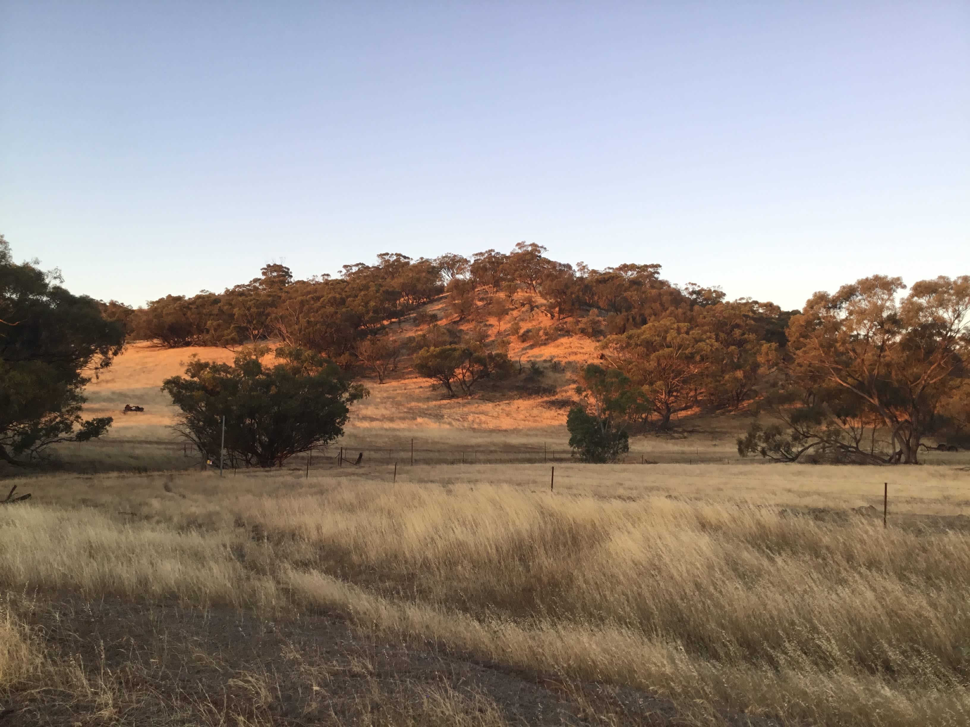 Toowoo Farm
