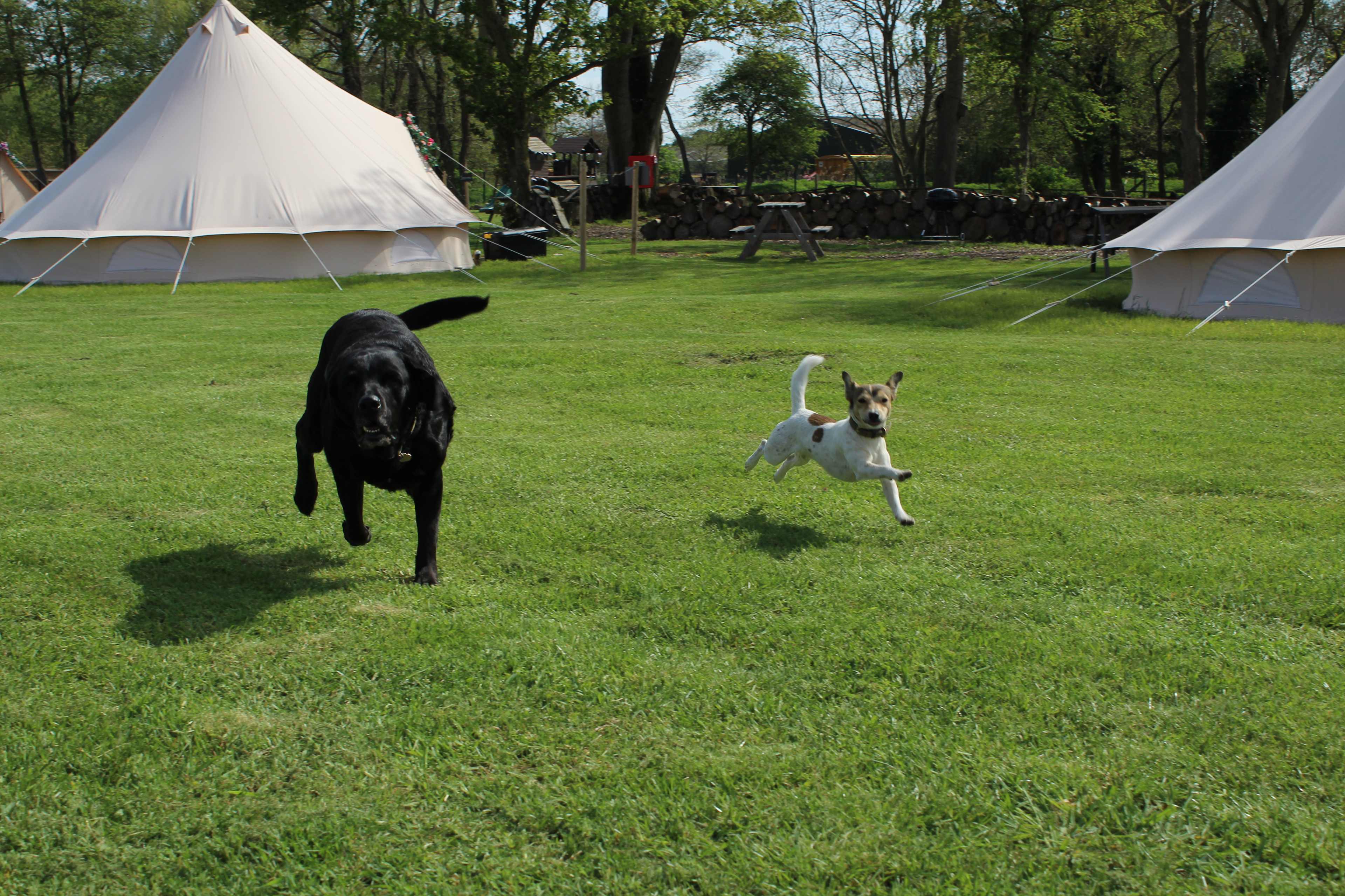 Willow Grove Farm Glamping