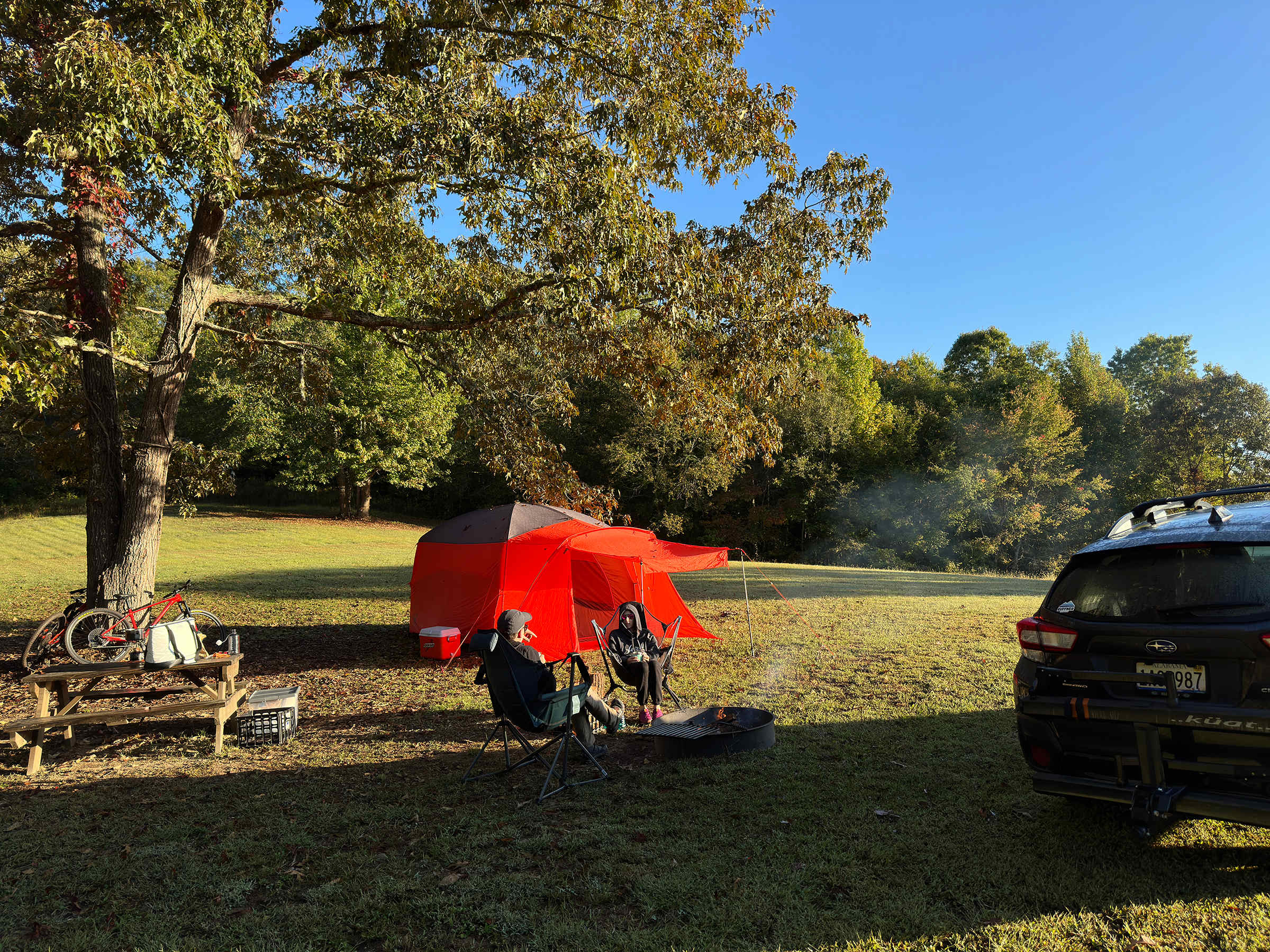 Picture of the site