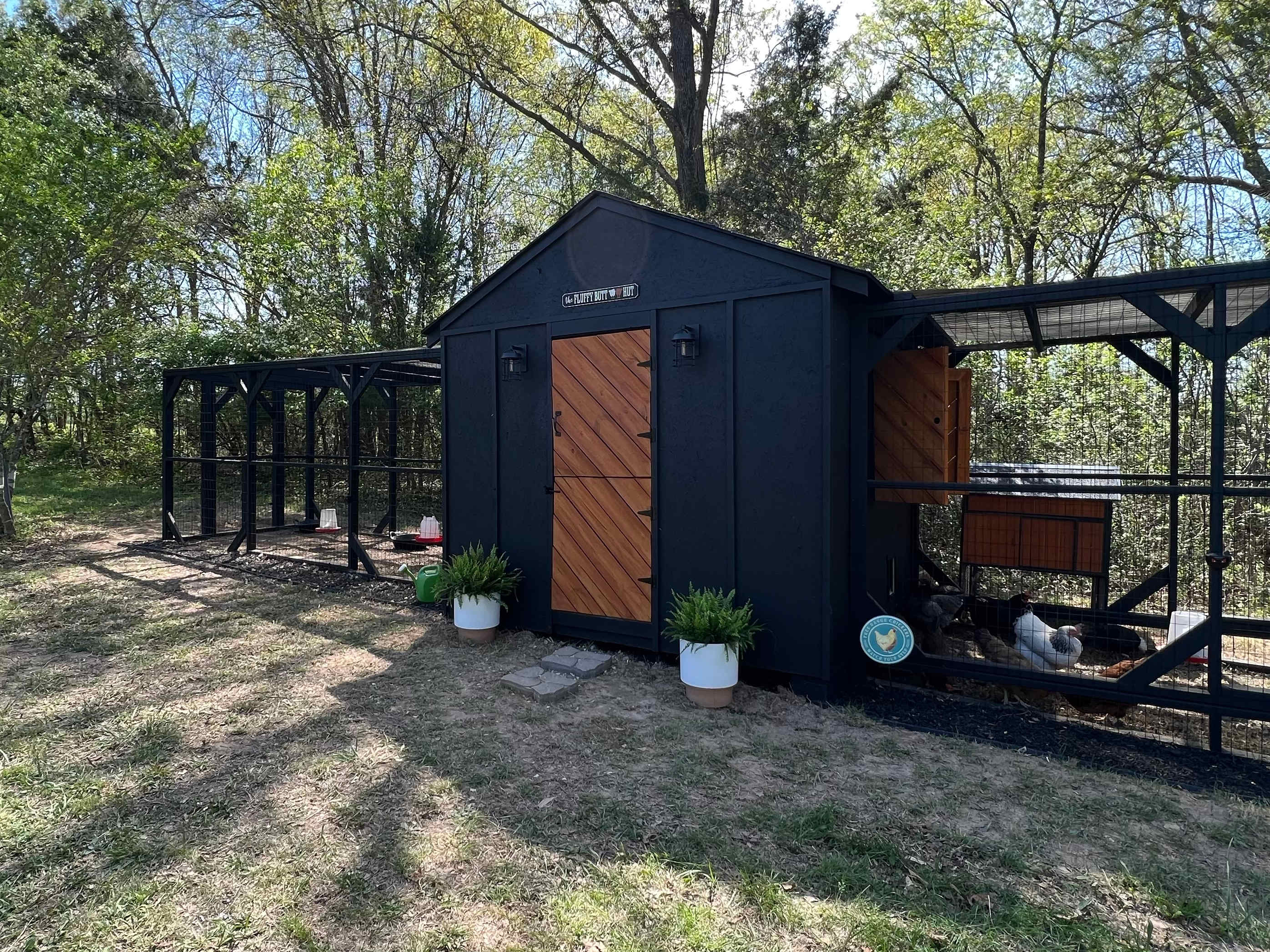 Our Chicken Coop houses our 21 chickens working hard to provide you with fresh eggs for your stay!
