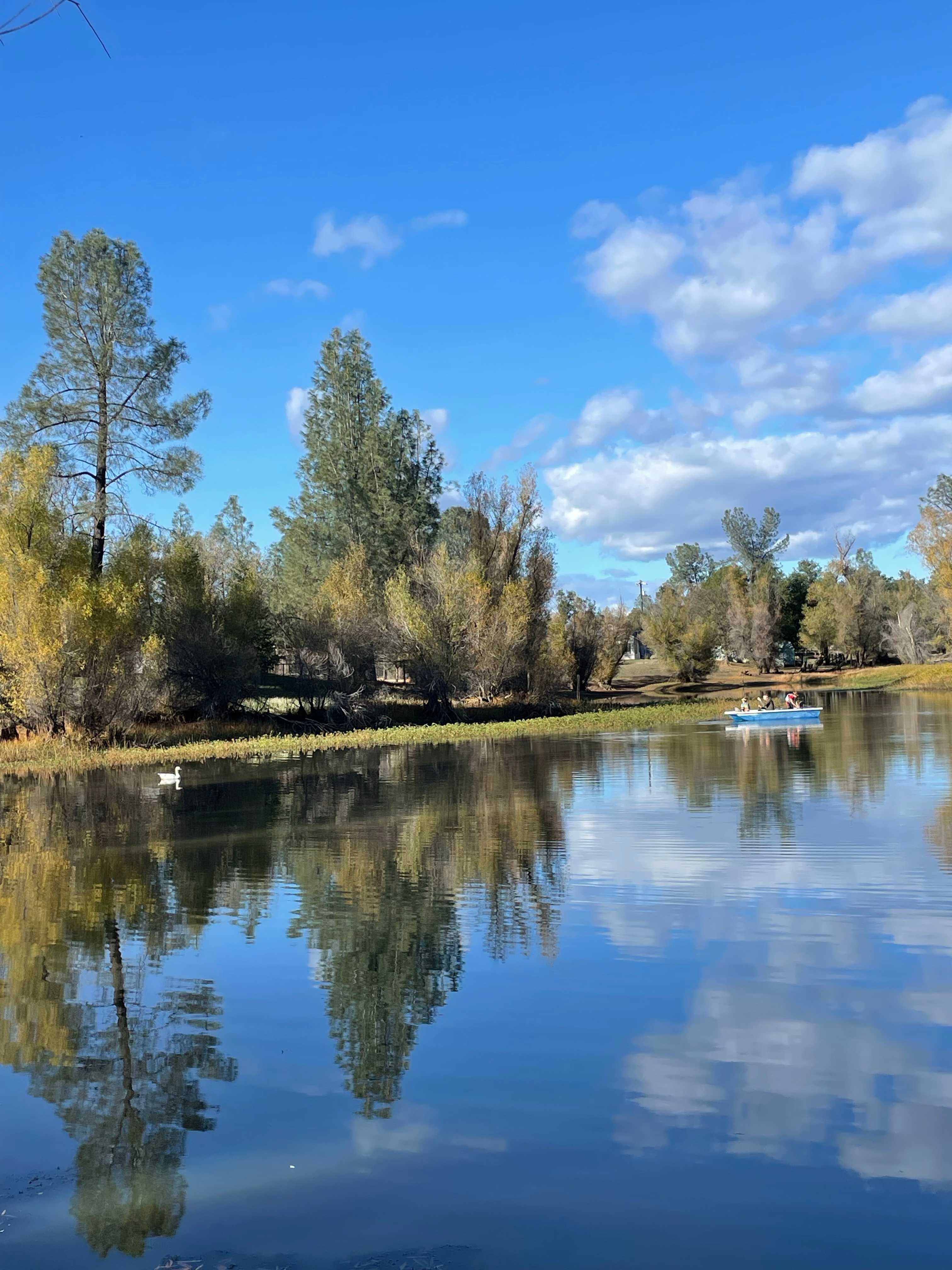 Bass Fishing Paradise-Open and Easy