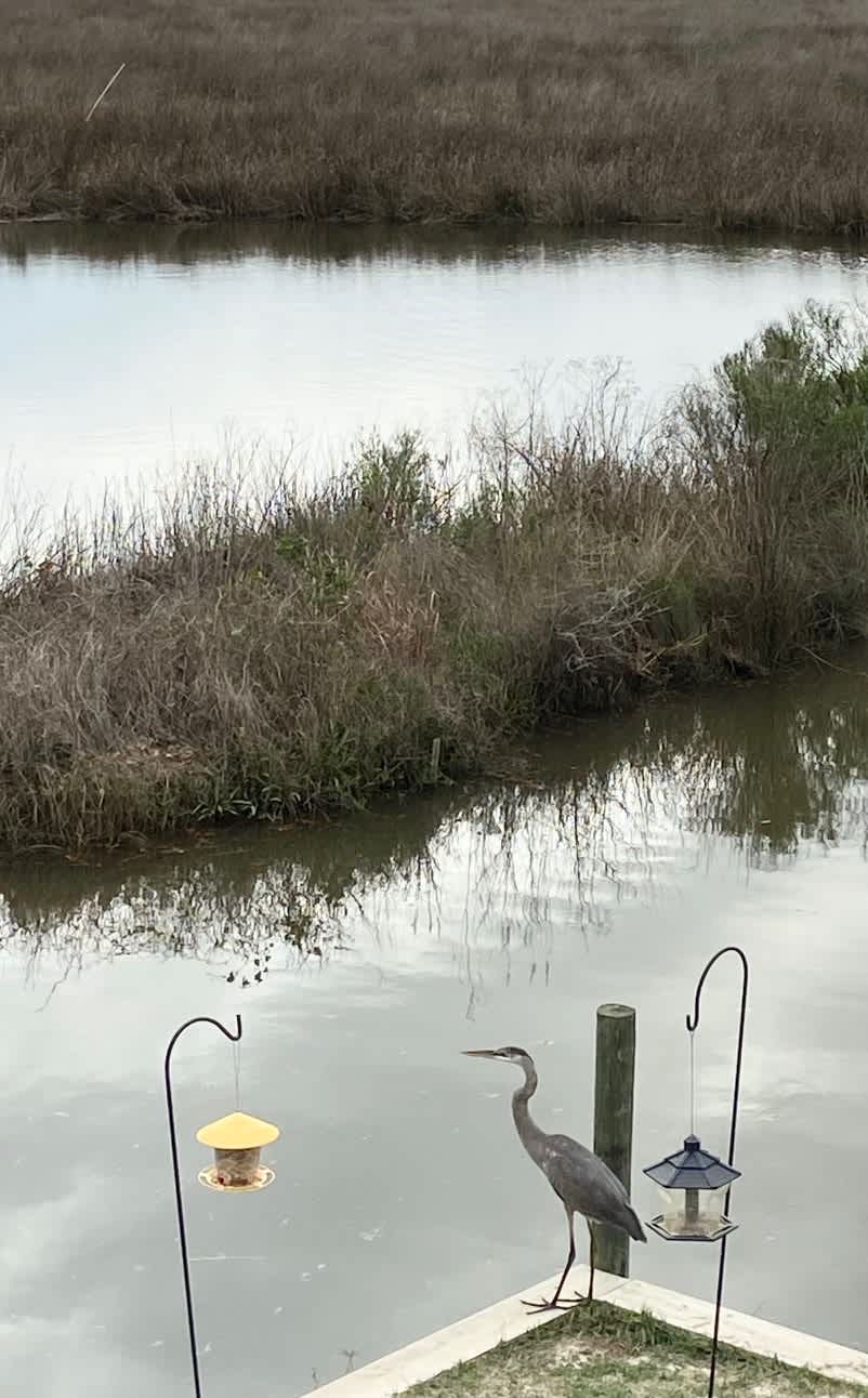 Gulf Shores Waterfront RV Getaway