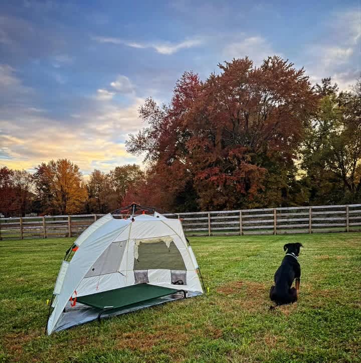 Fenced in backyard!