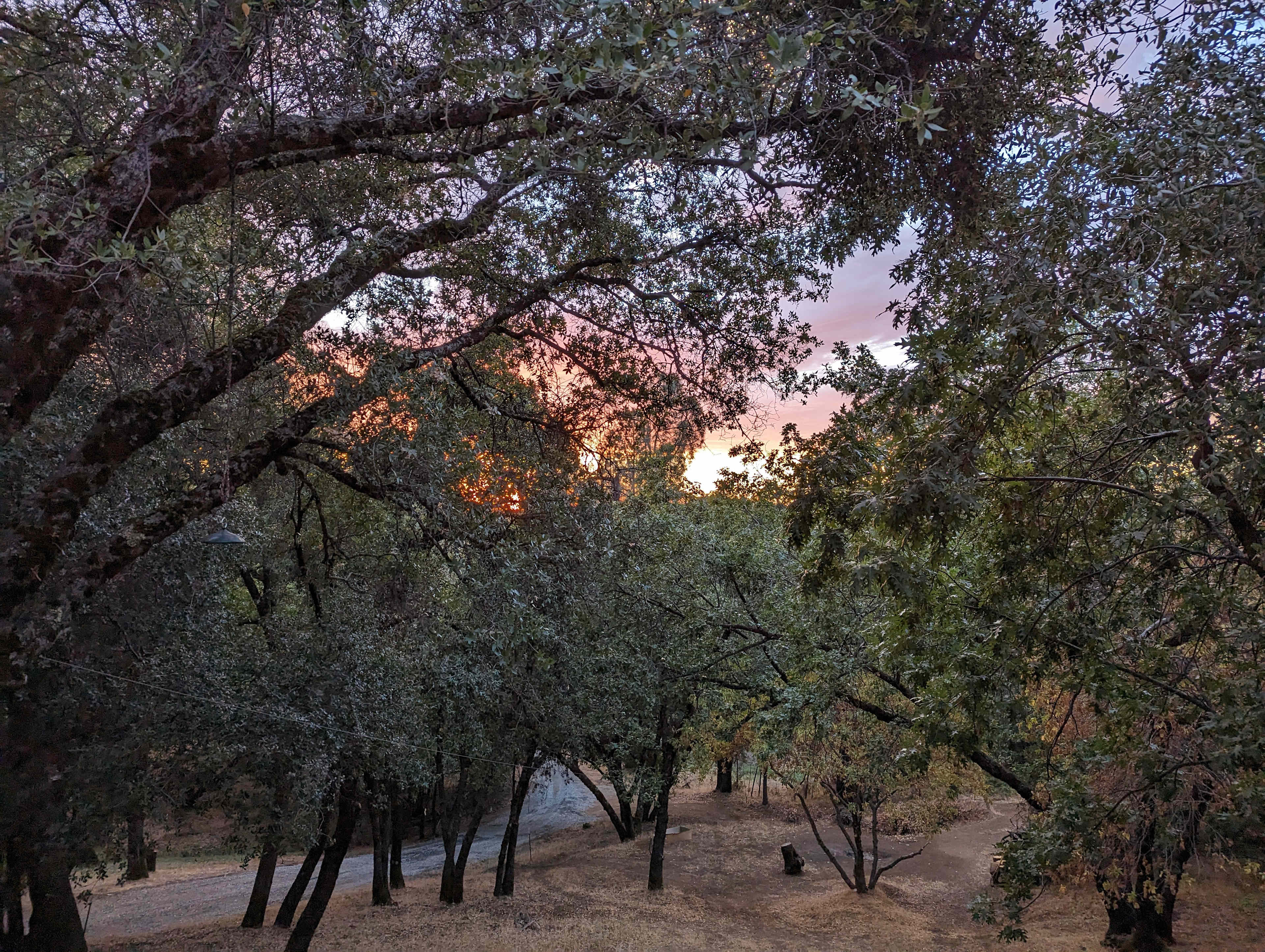 Sunset Rock Woodlands Retreat