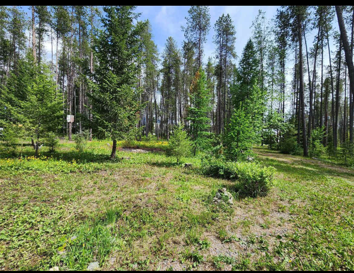 Camp Caribou