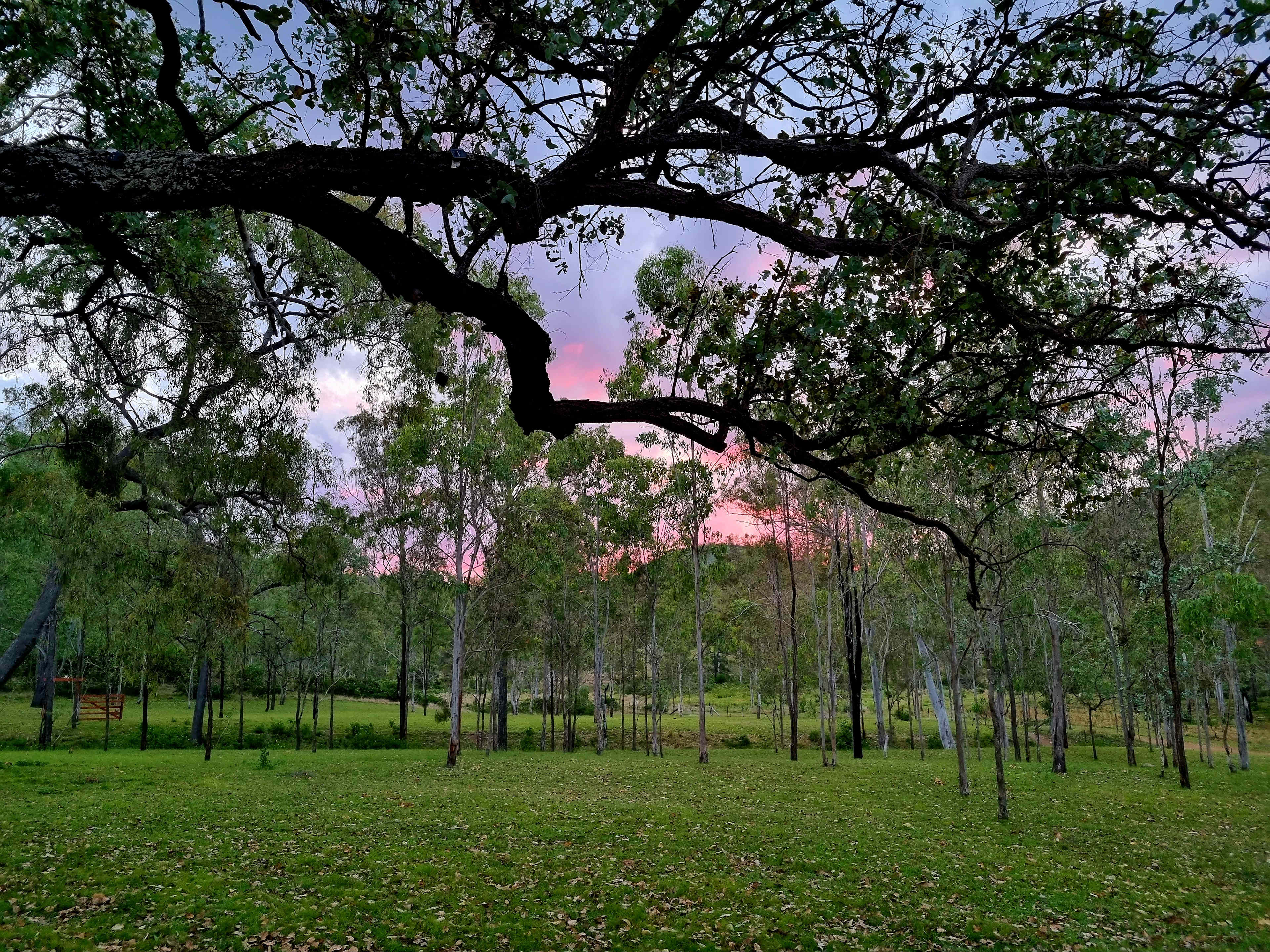 Possum Bush Retreat