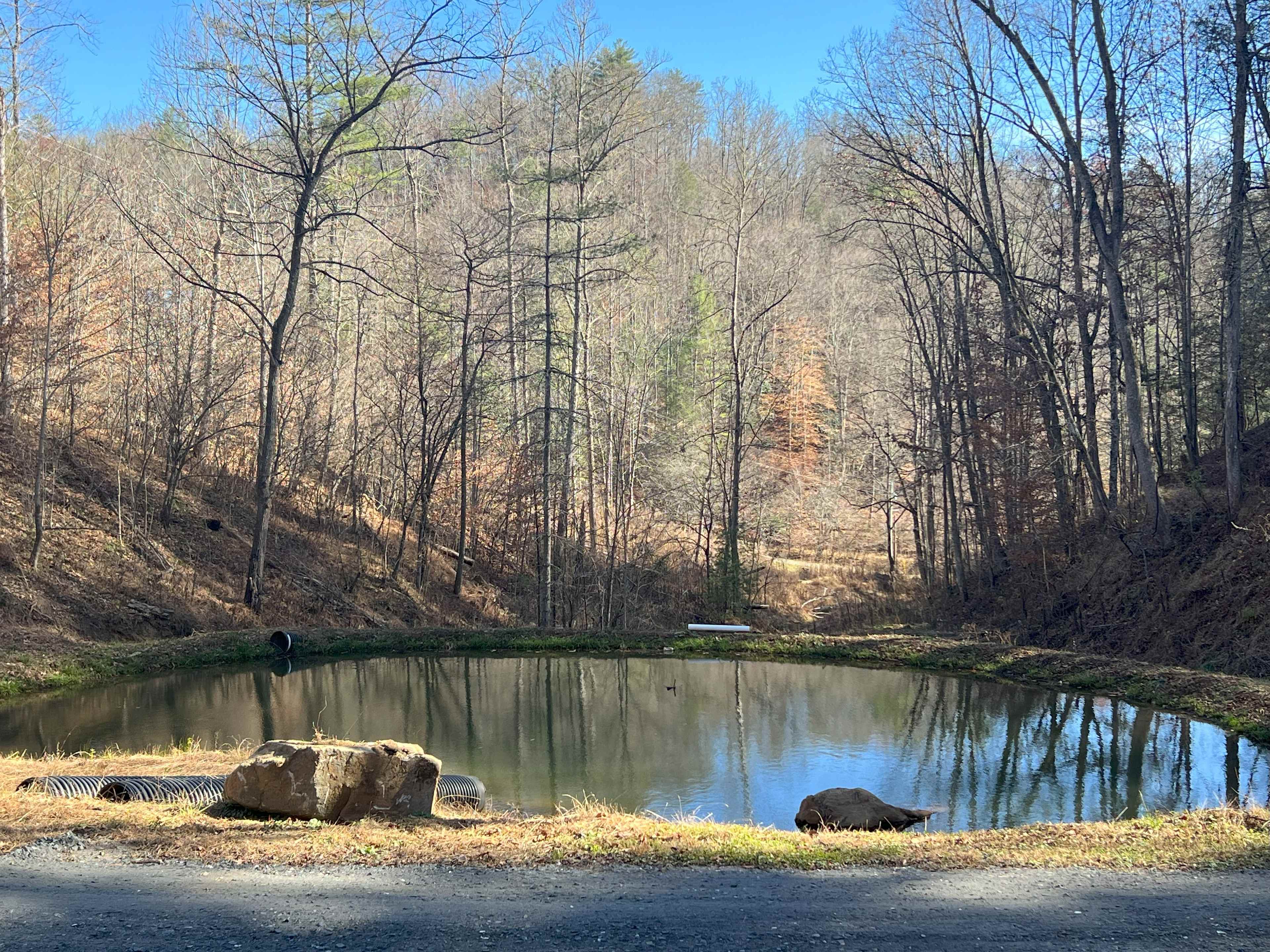 Romantic, hot tub, pet friendly
