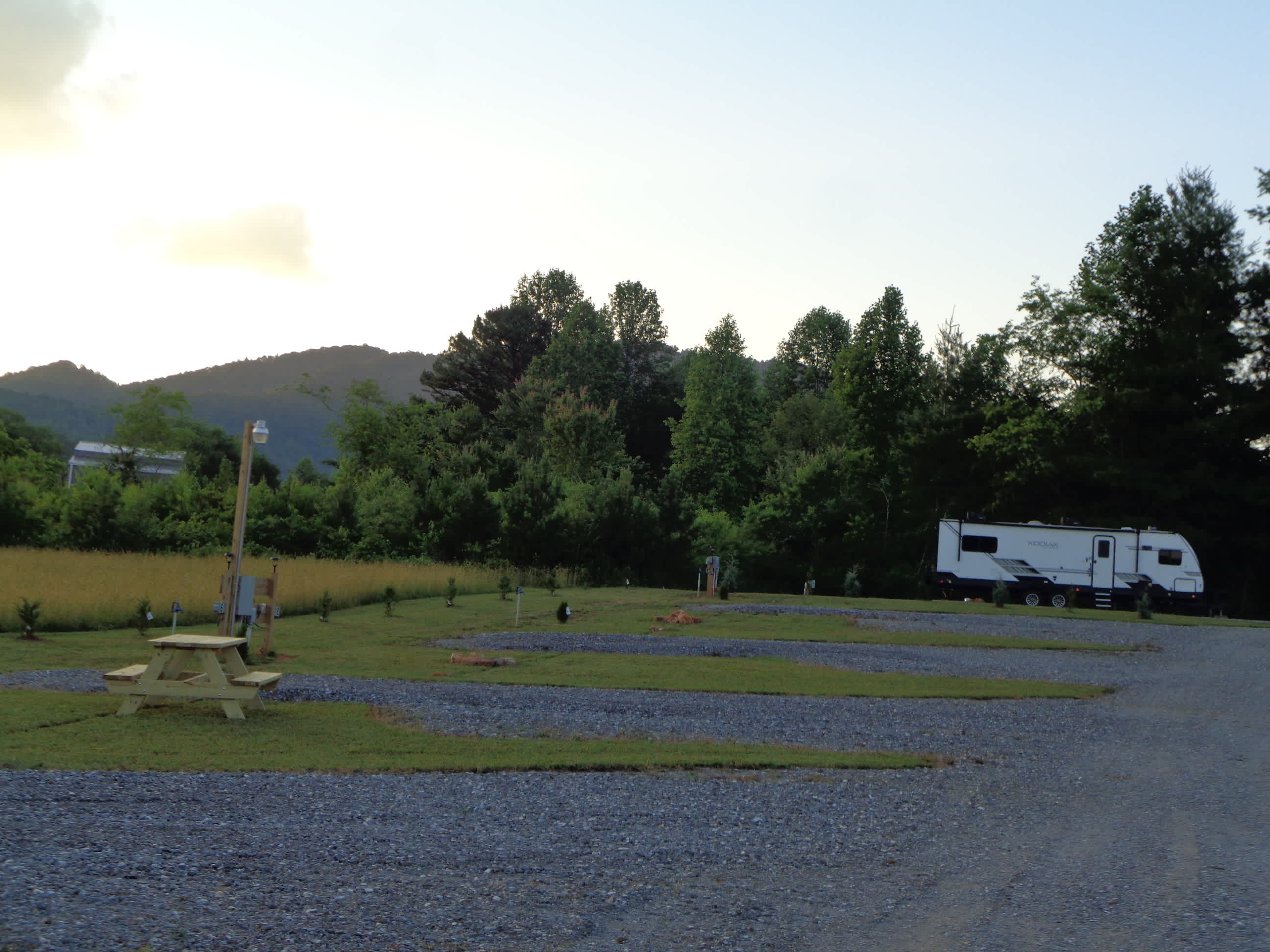Picture of the site