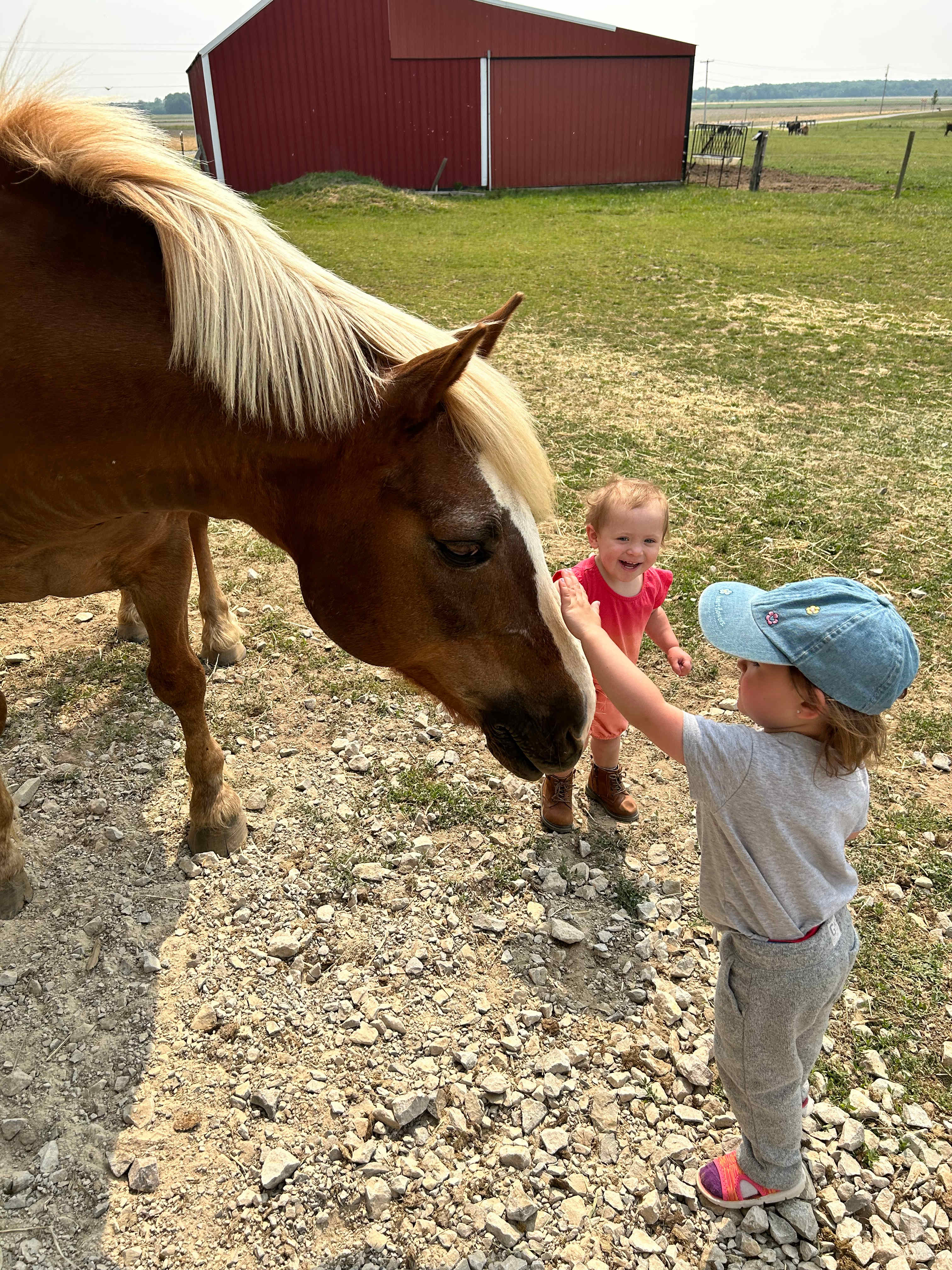Whispering Pines Farm