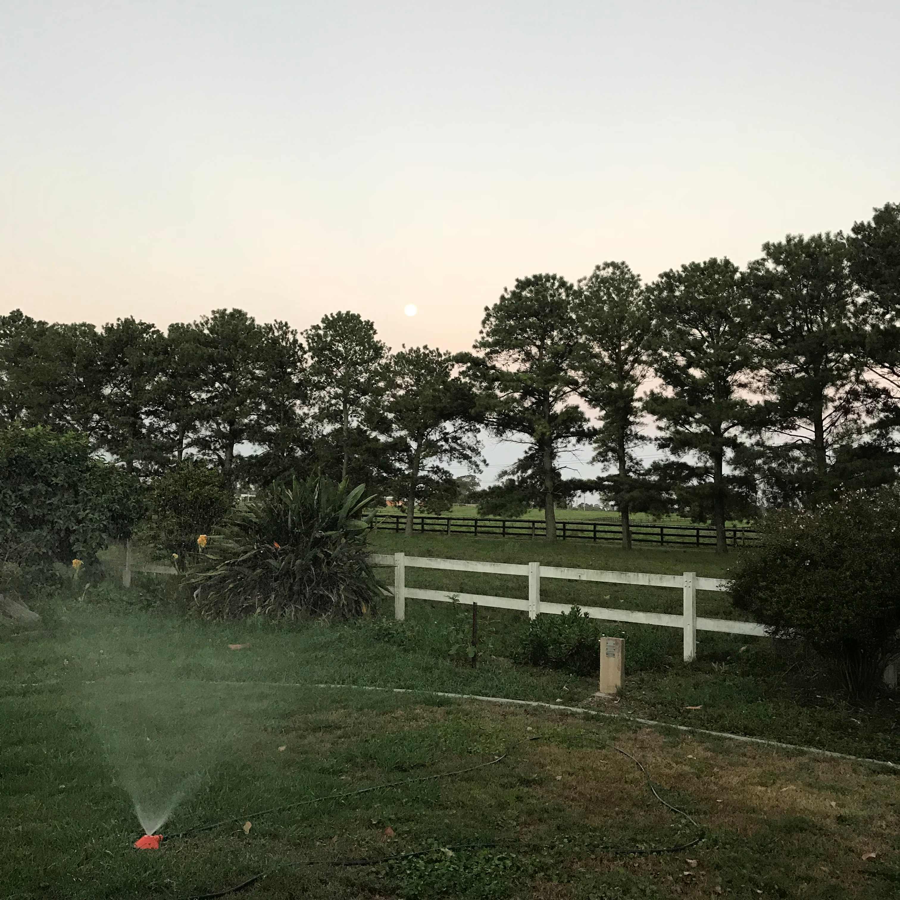 Old Dairy Acres