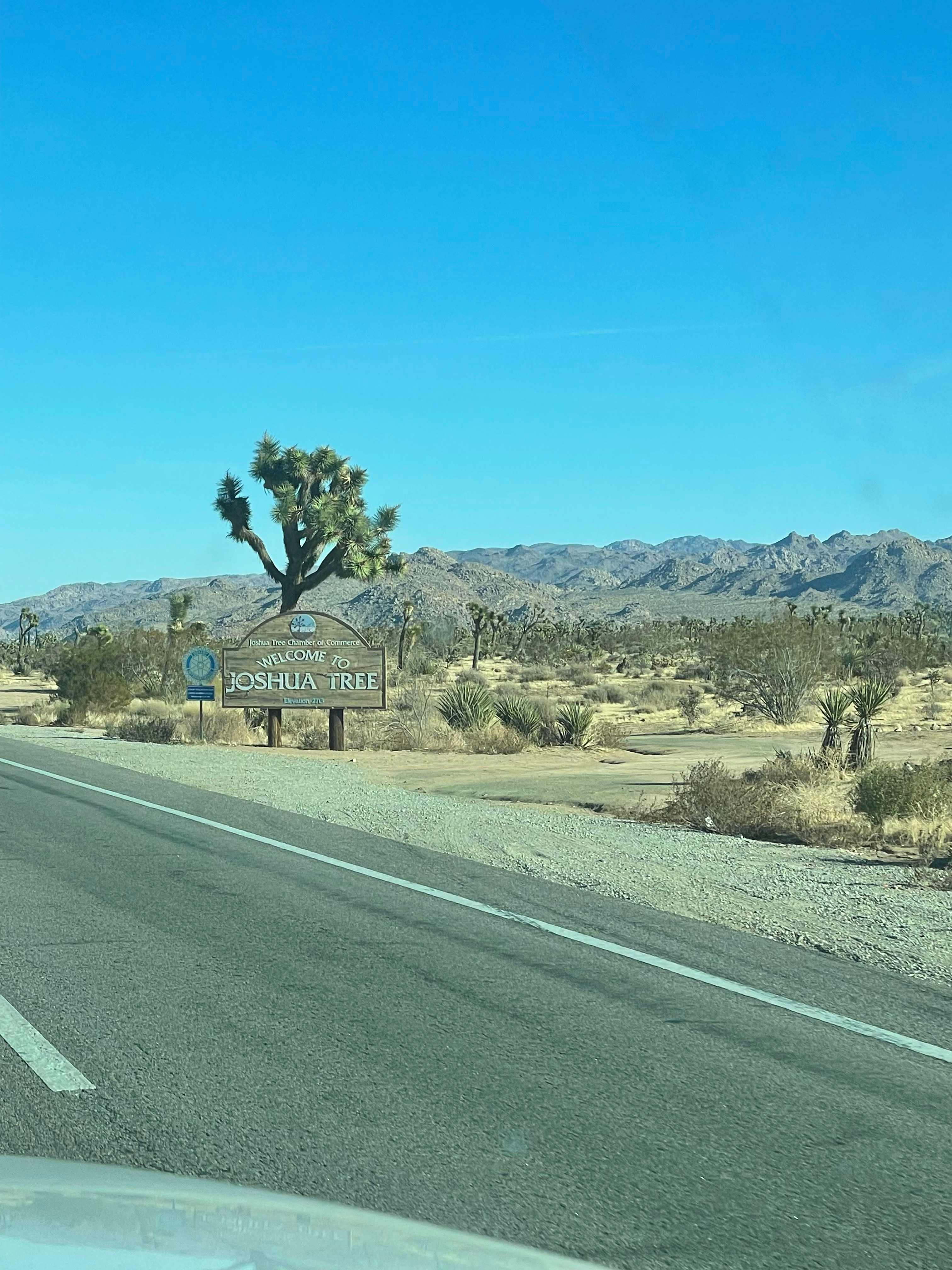 About 10 minutes from town of Joshua Trees