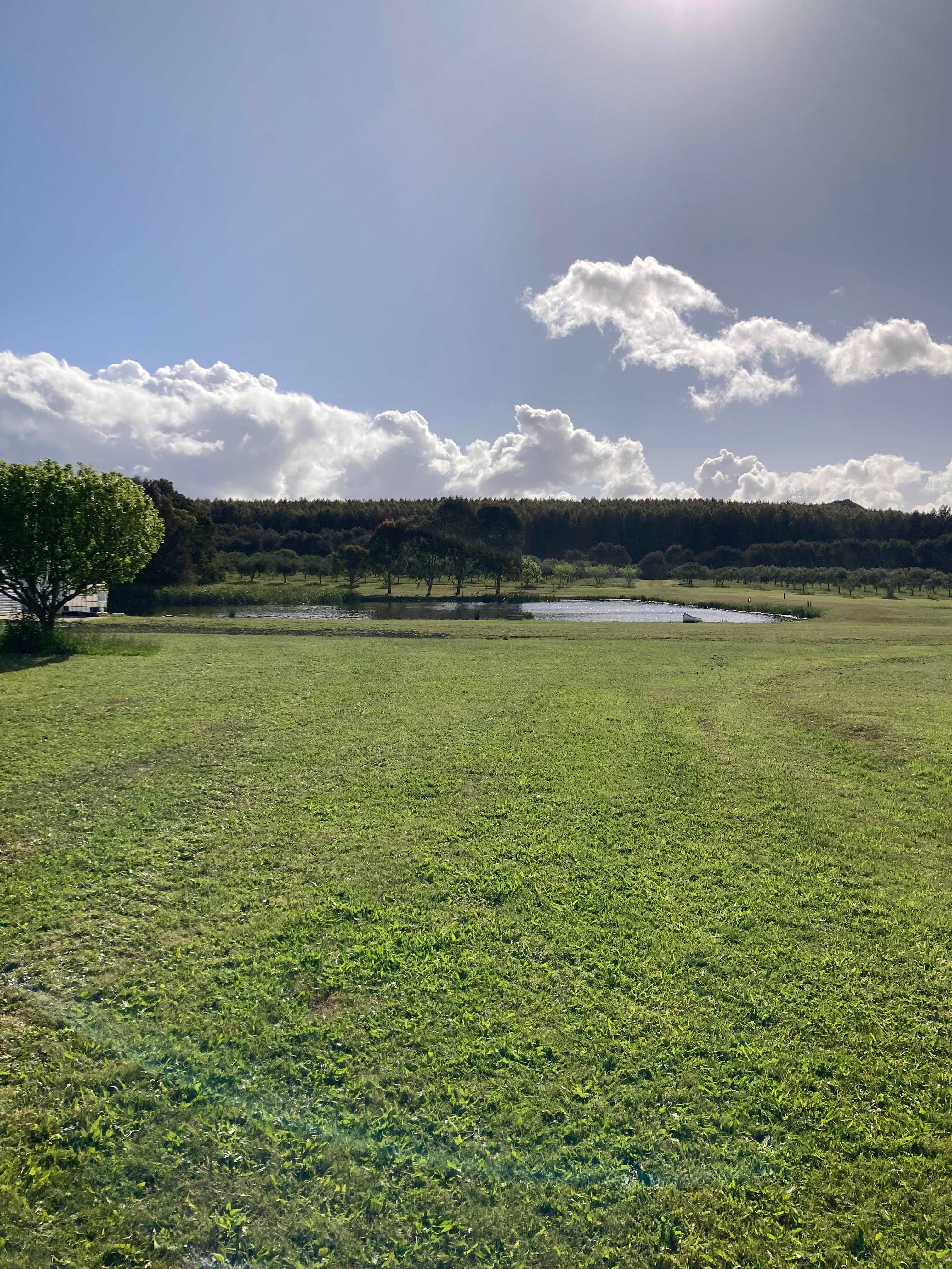 Olive Farm