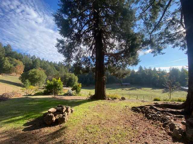 Wild Canyon Ranch CA