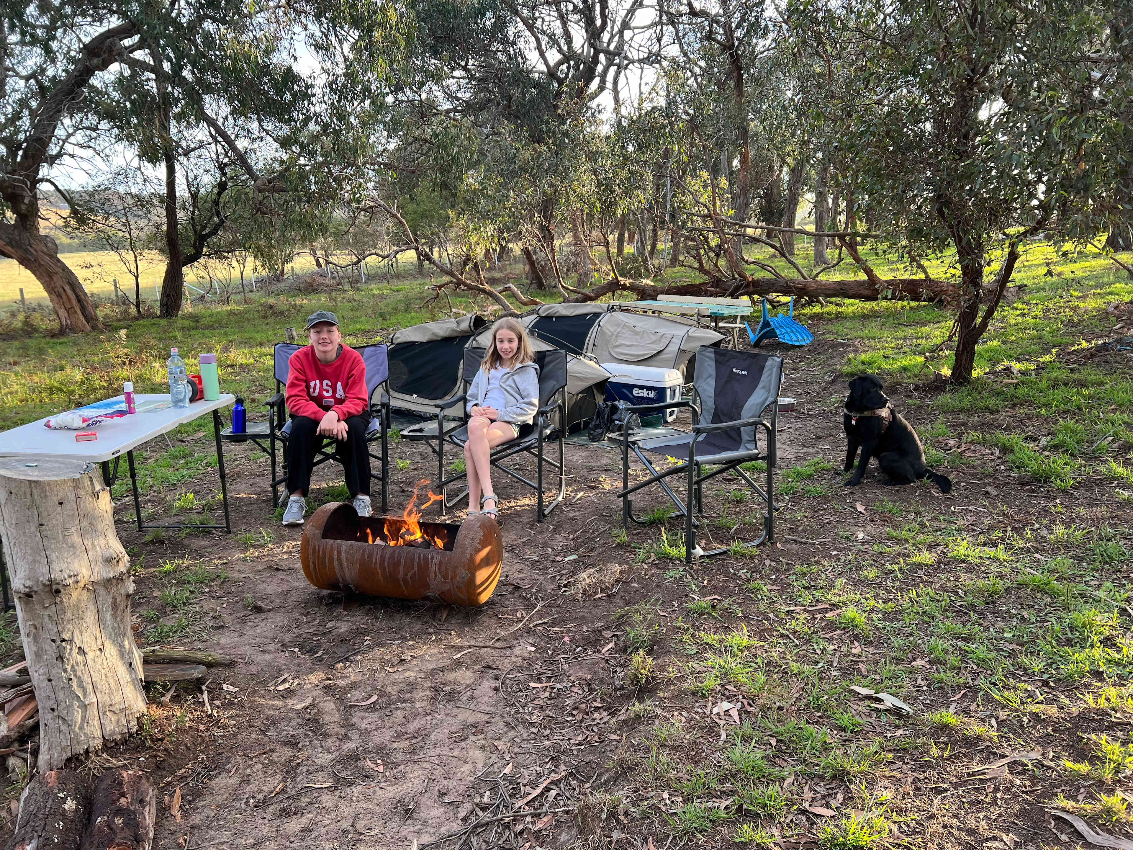 Coastal Farm Camp