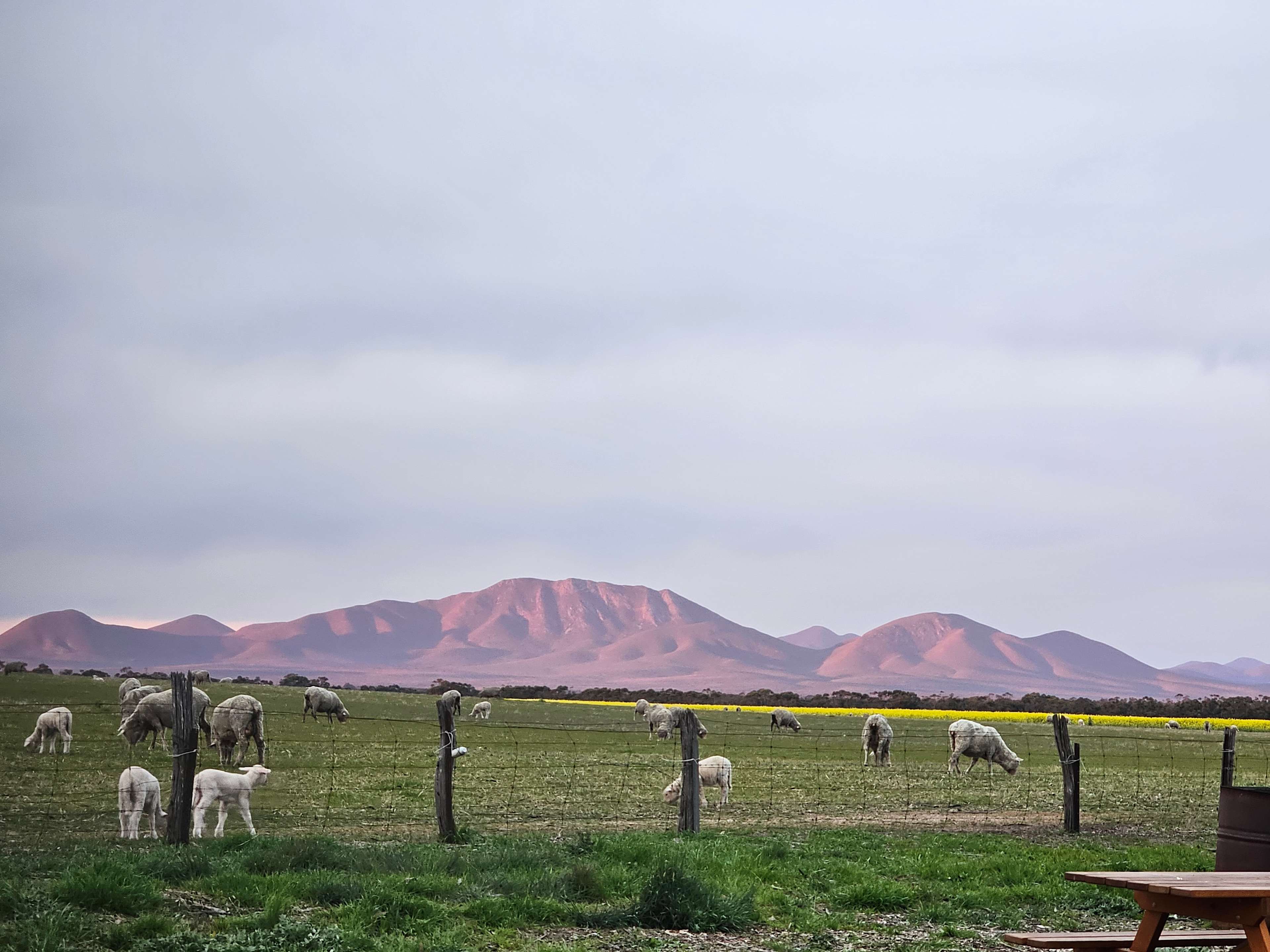 View from the property