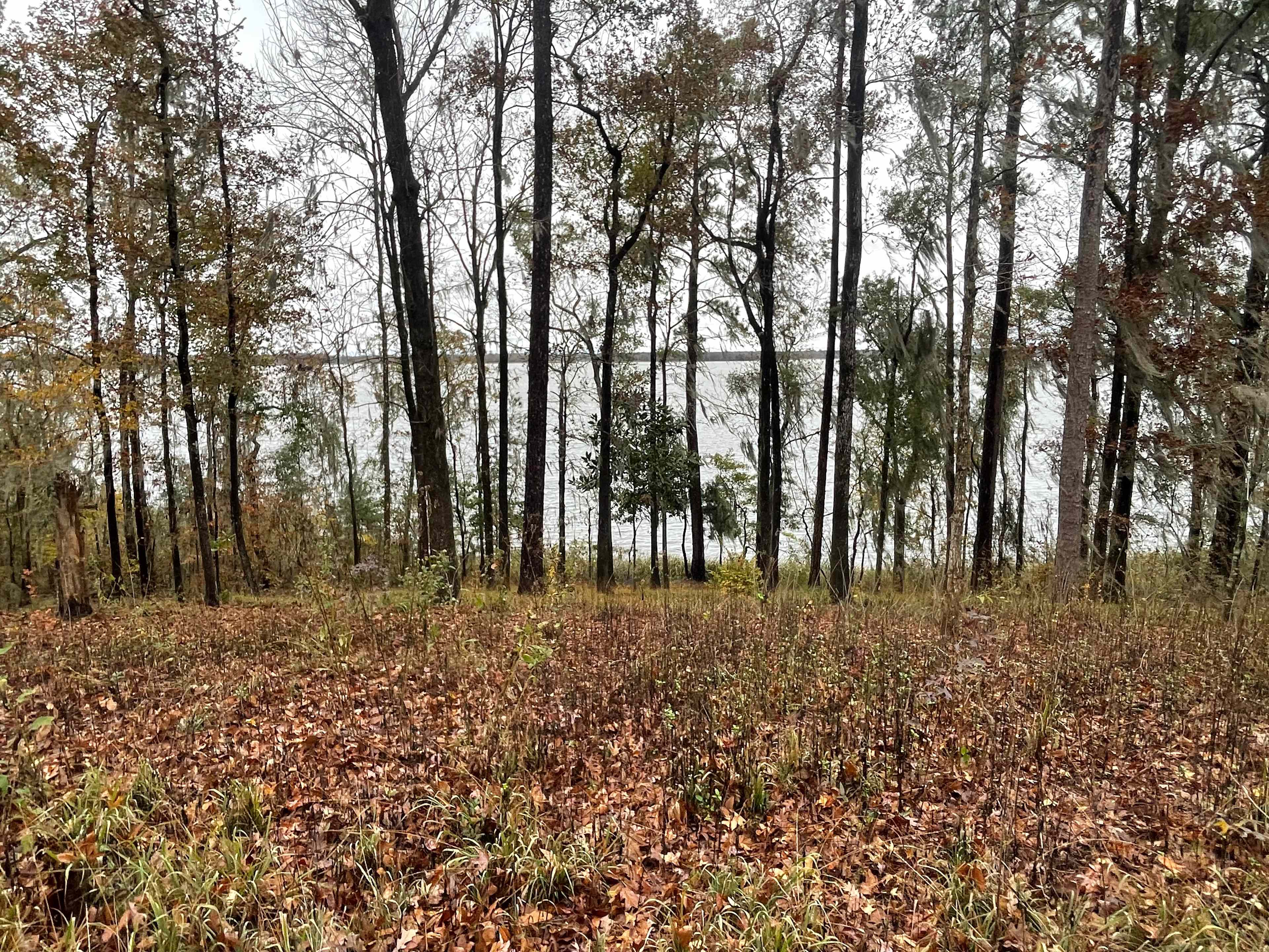 Twin Pines Lakeside RV