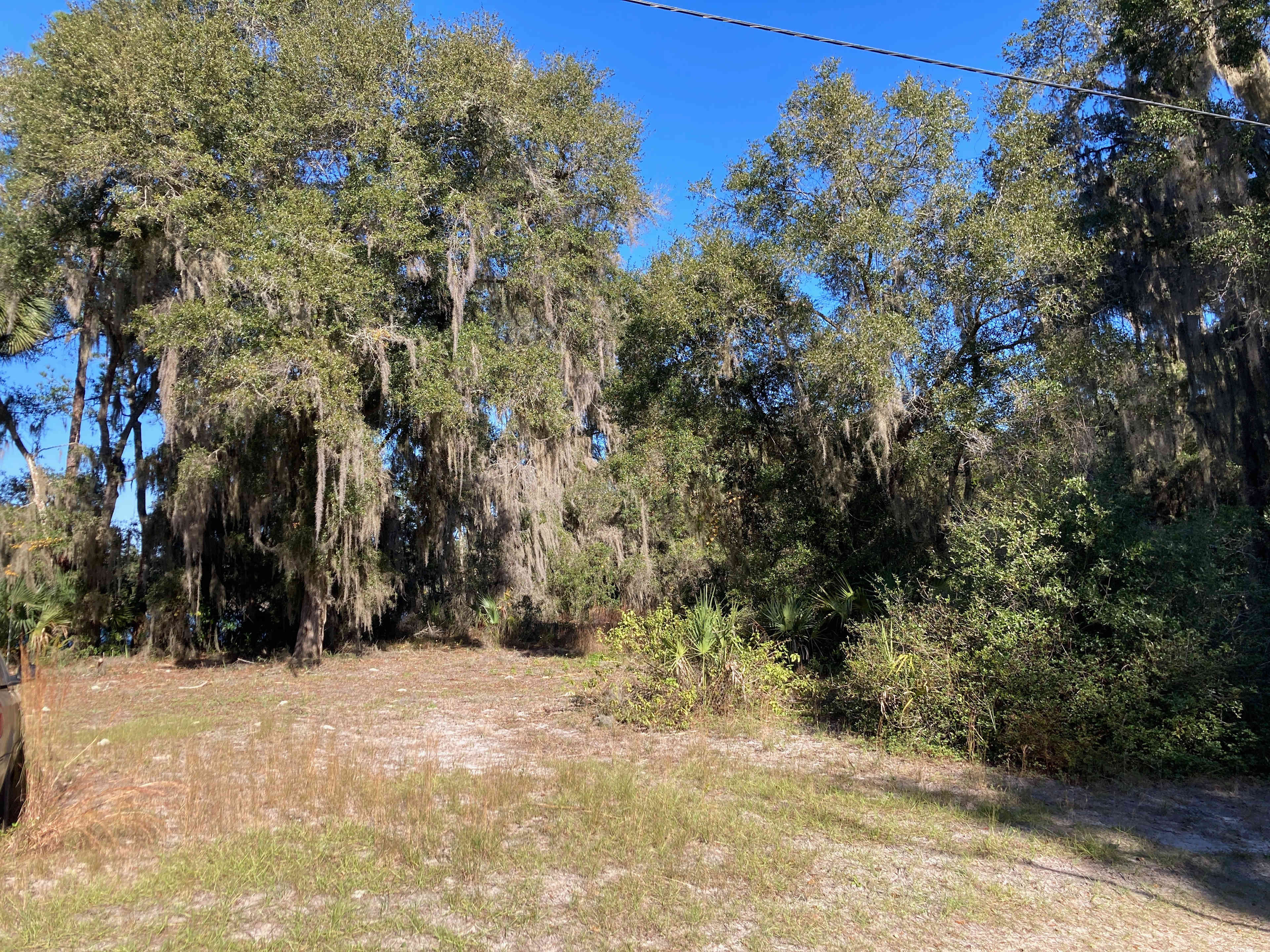 The campsite