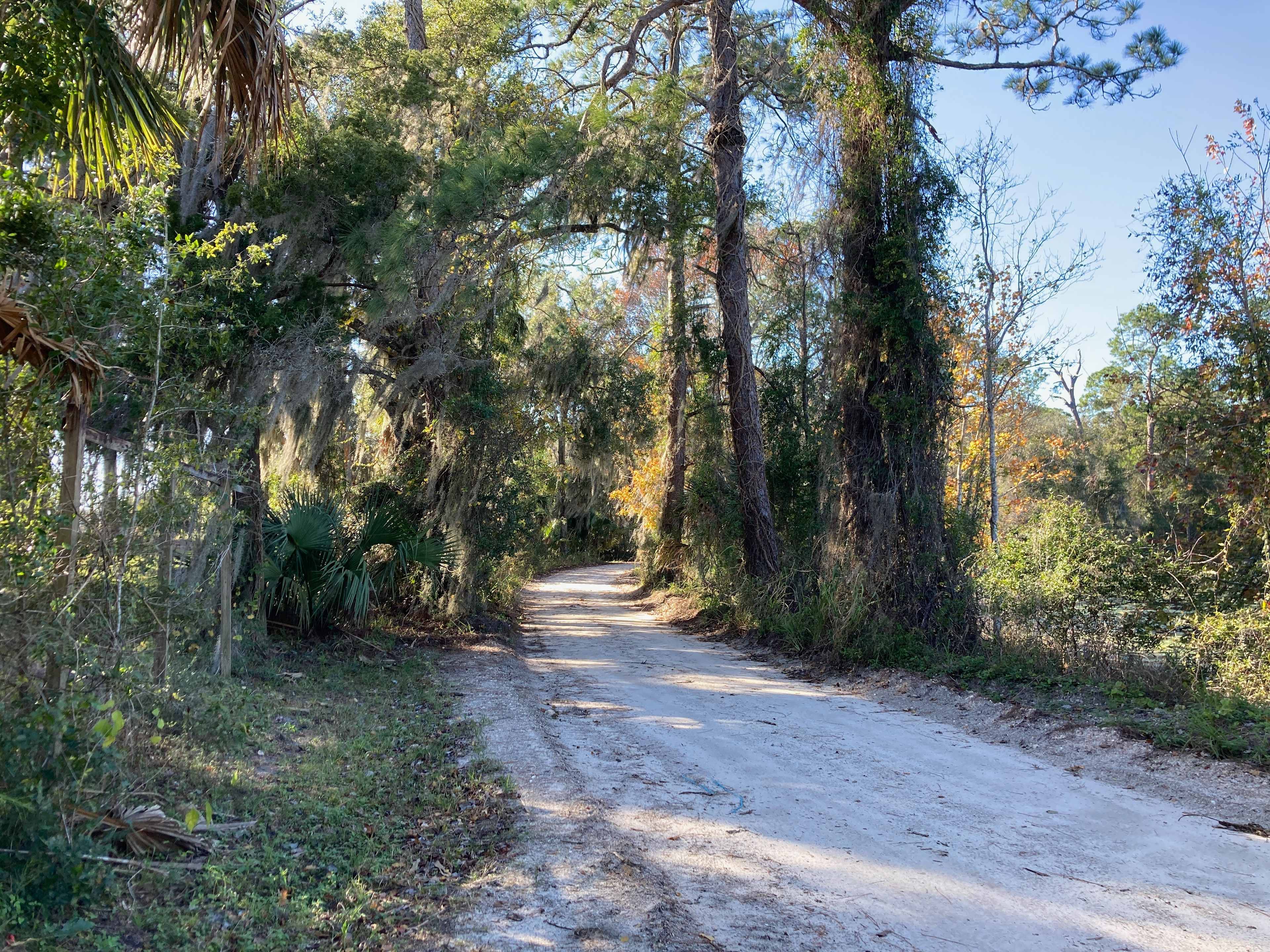 road facing west