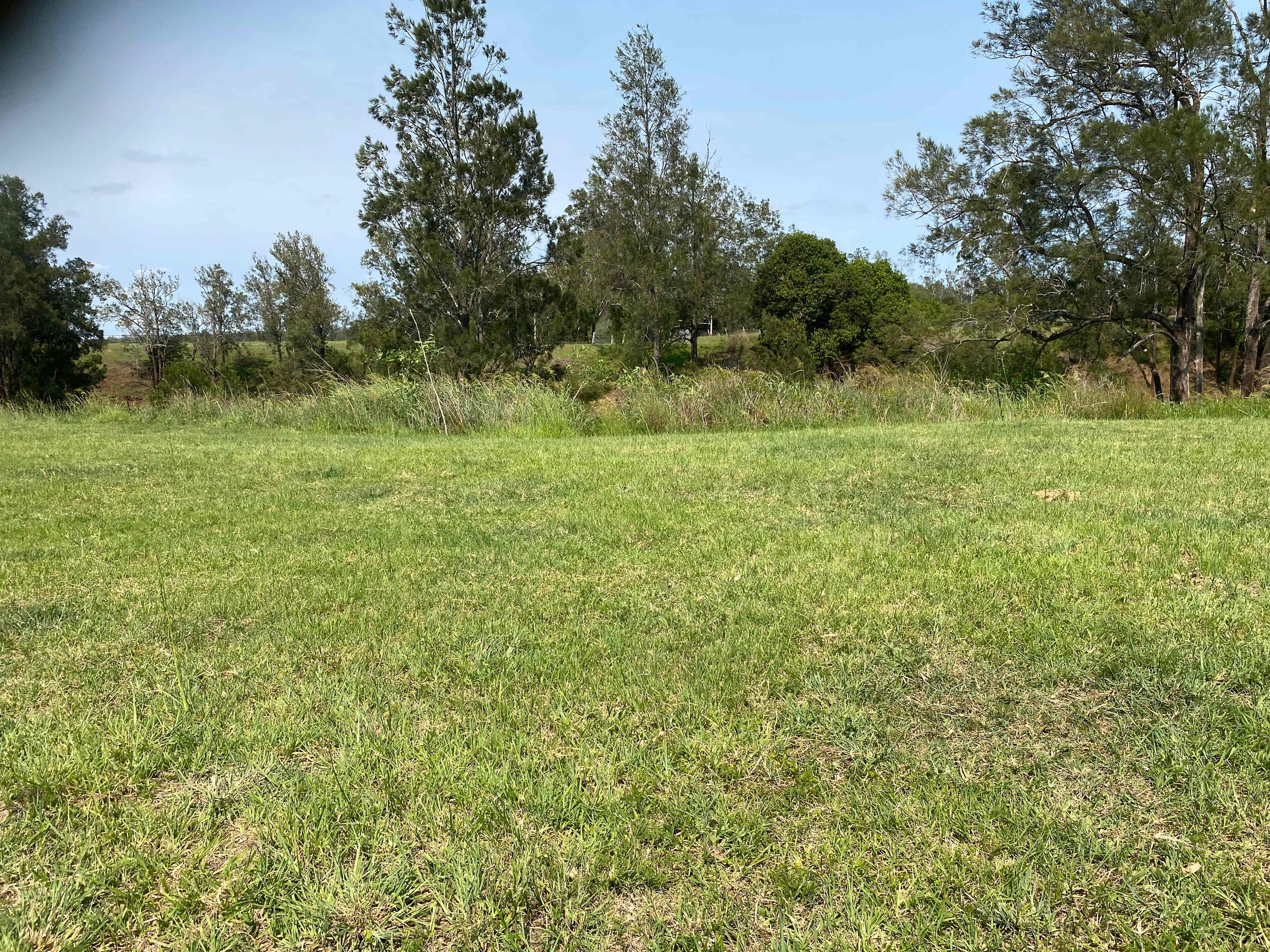 Villa Verde Organic Seed Farm
