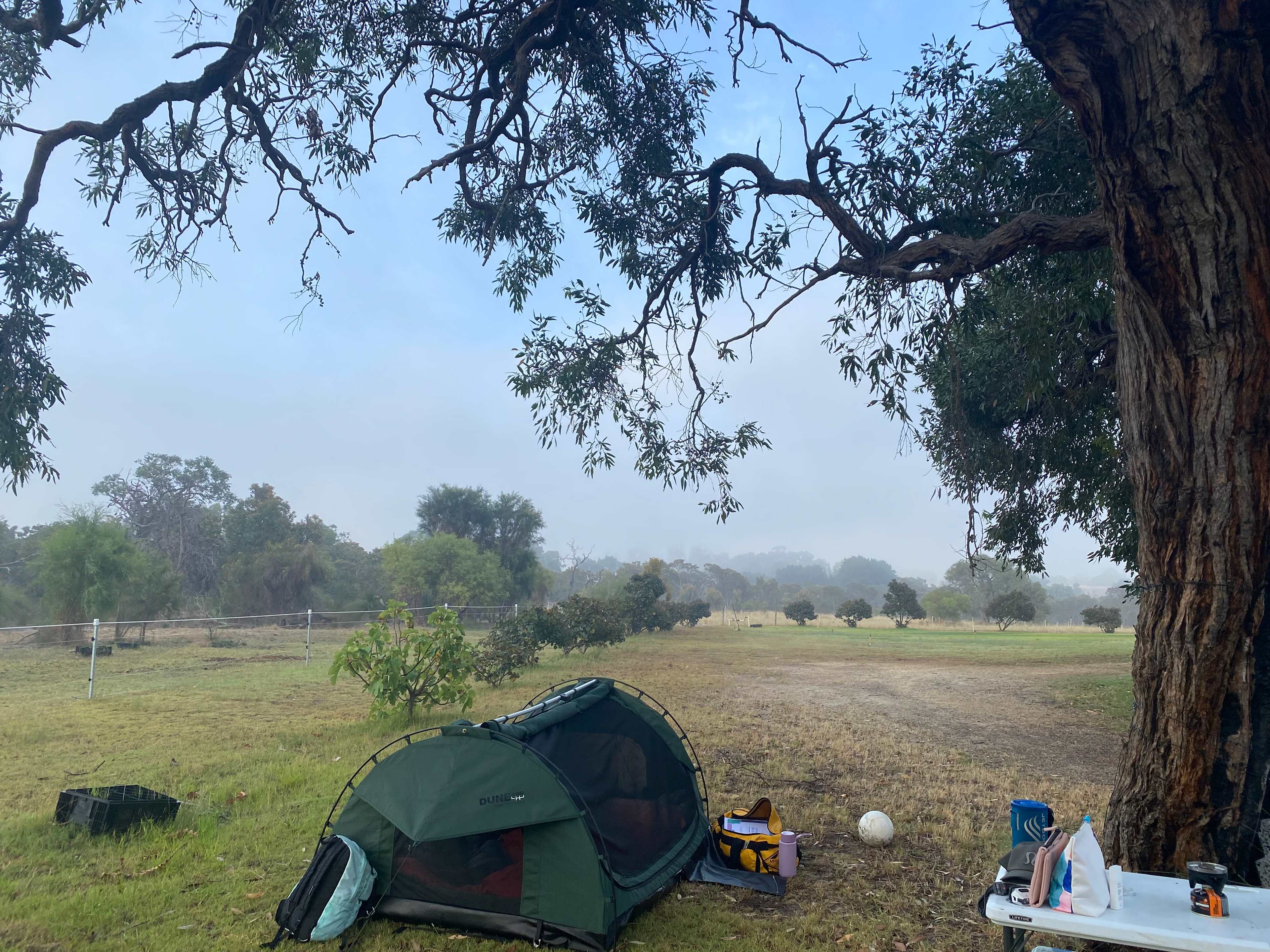 Picture of the site