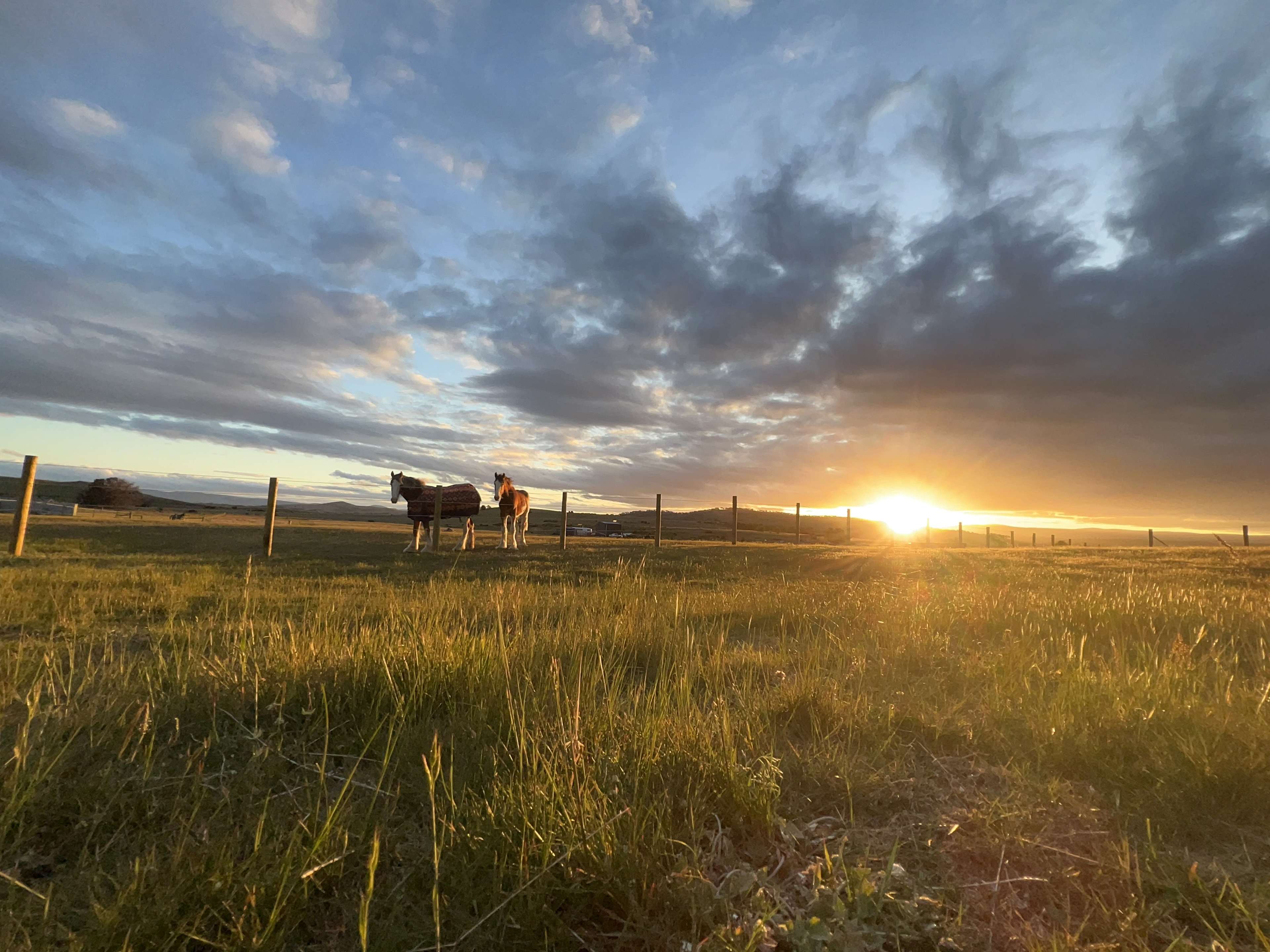 Arion Park, Campsite, YOLLA NW TAS