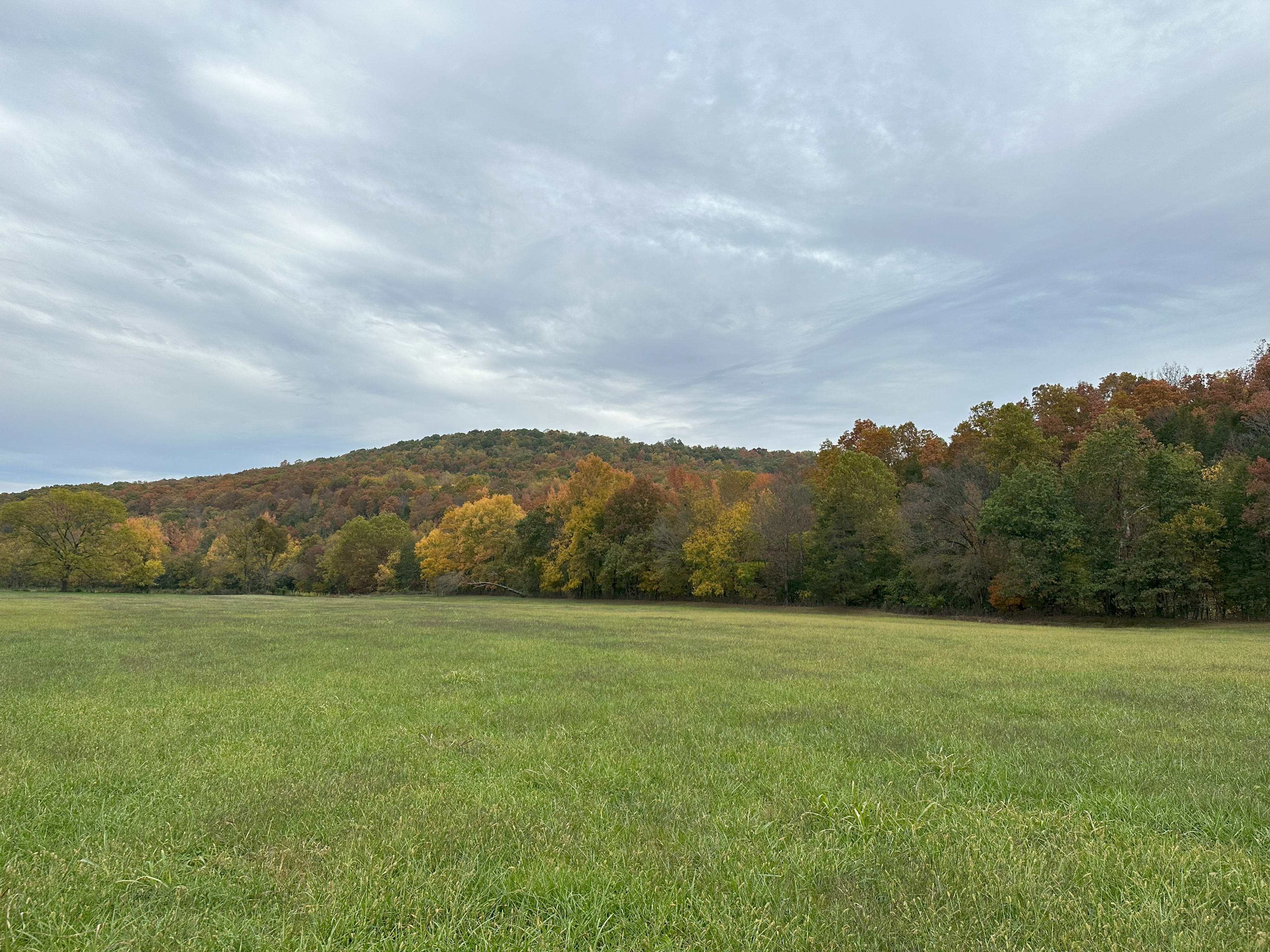 Beautiful wide open 16 acre property 