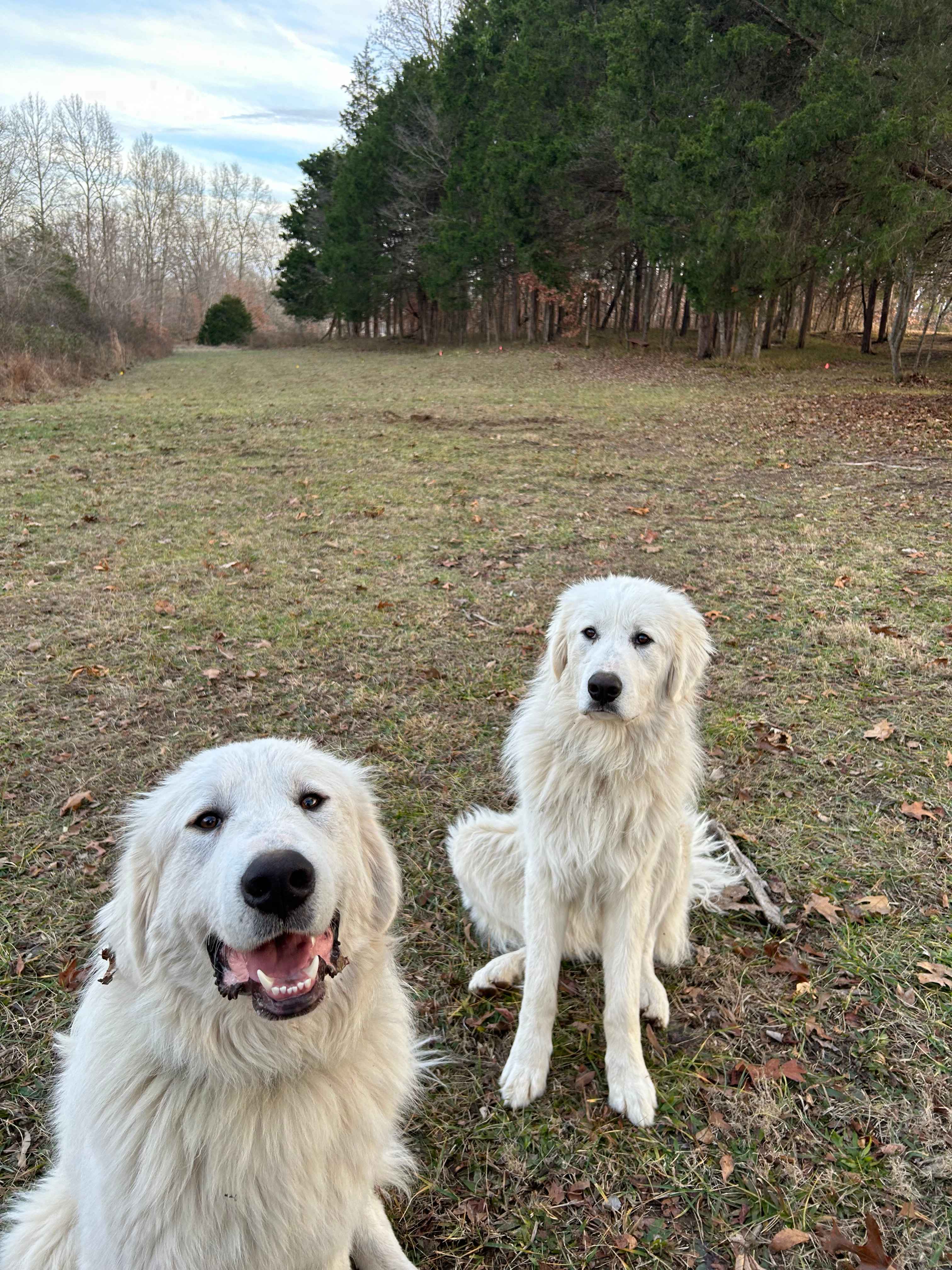 Friendly boys, we loved watching them work. 