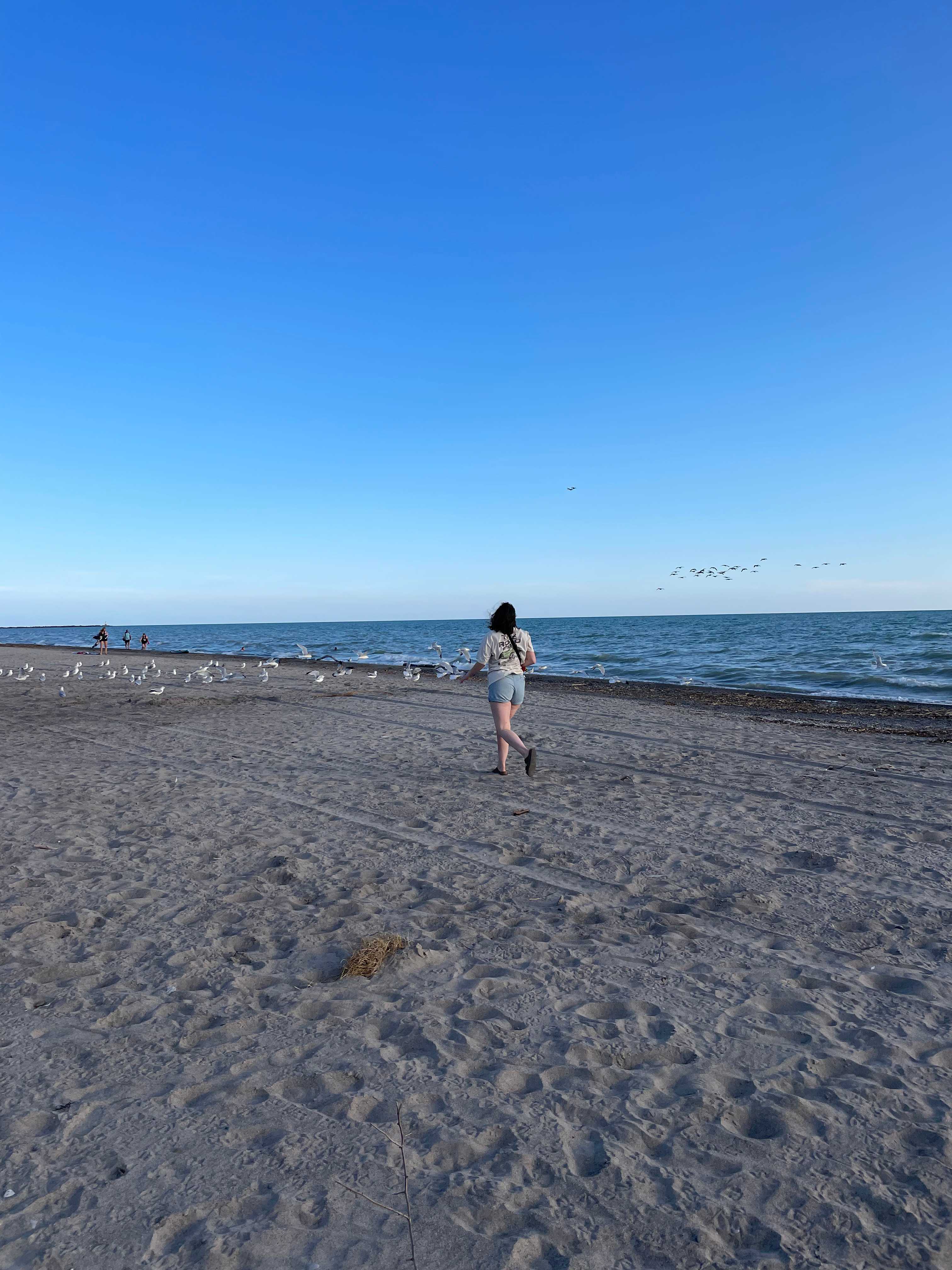 Blue Flag Beach at Port Burwell.  5 minute drive from Hicks Haven 