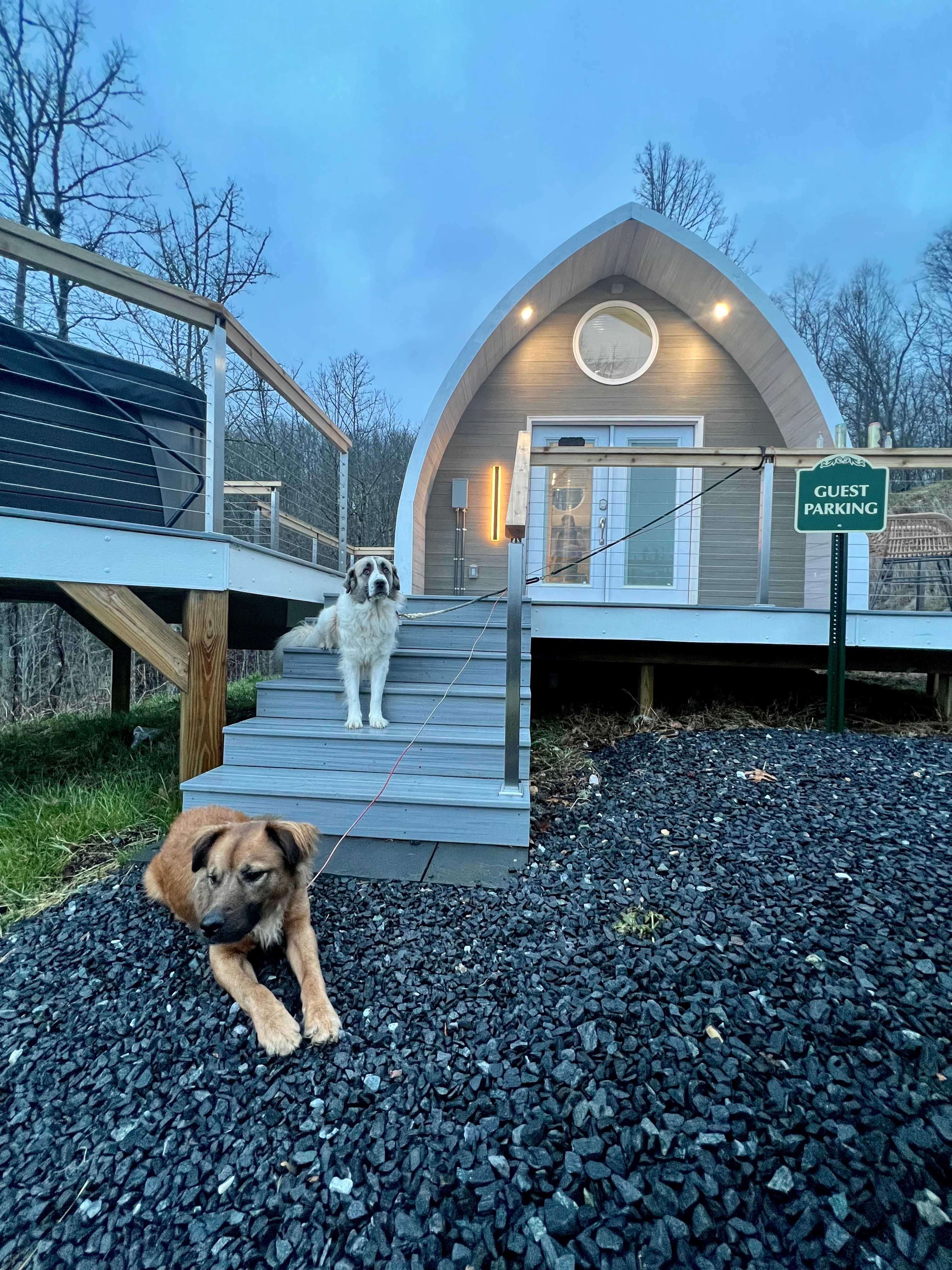 Romantic, hot tub, pet friendly
