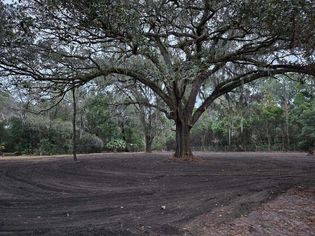 The Ranch