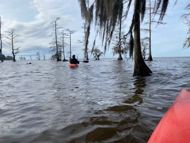 Christmas day paddling, 2023