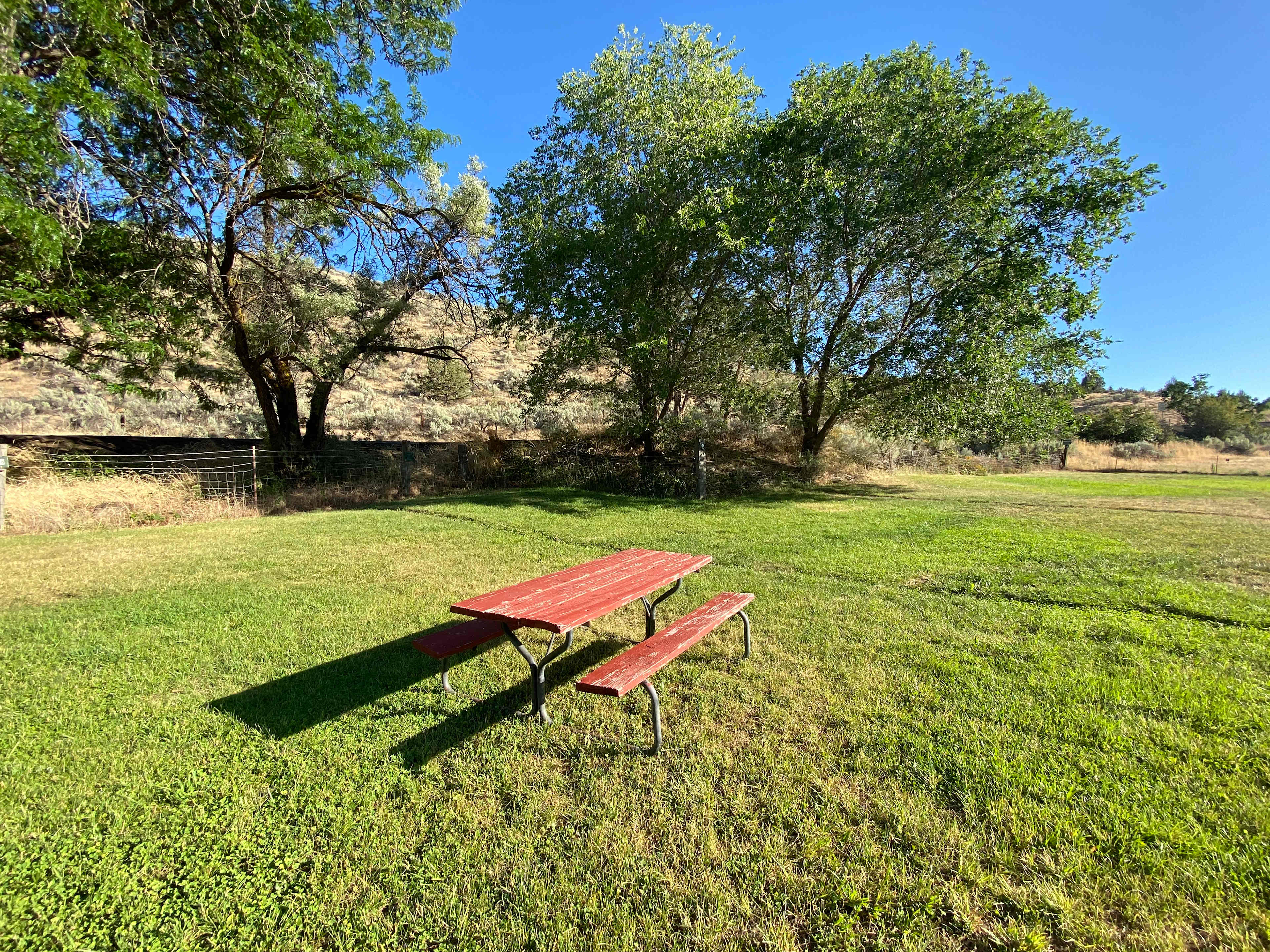 Grassy, green field overlooking the Deschutes River.