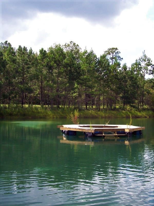 Floating dock @ our lake