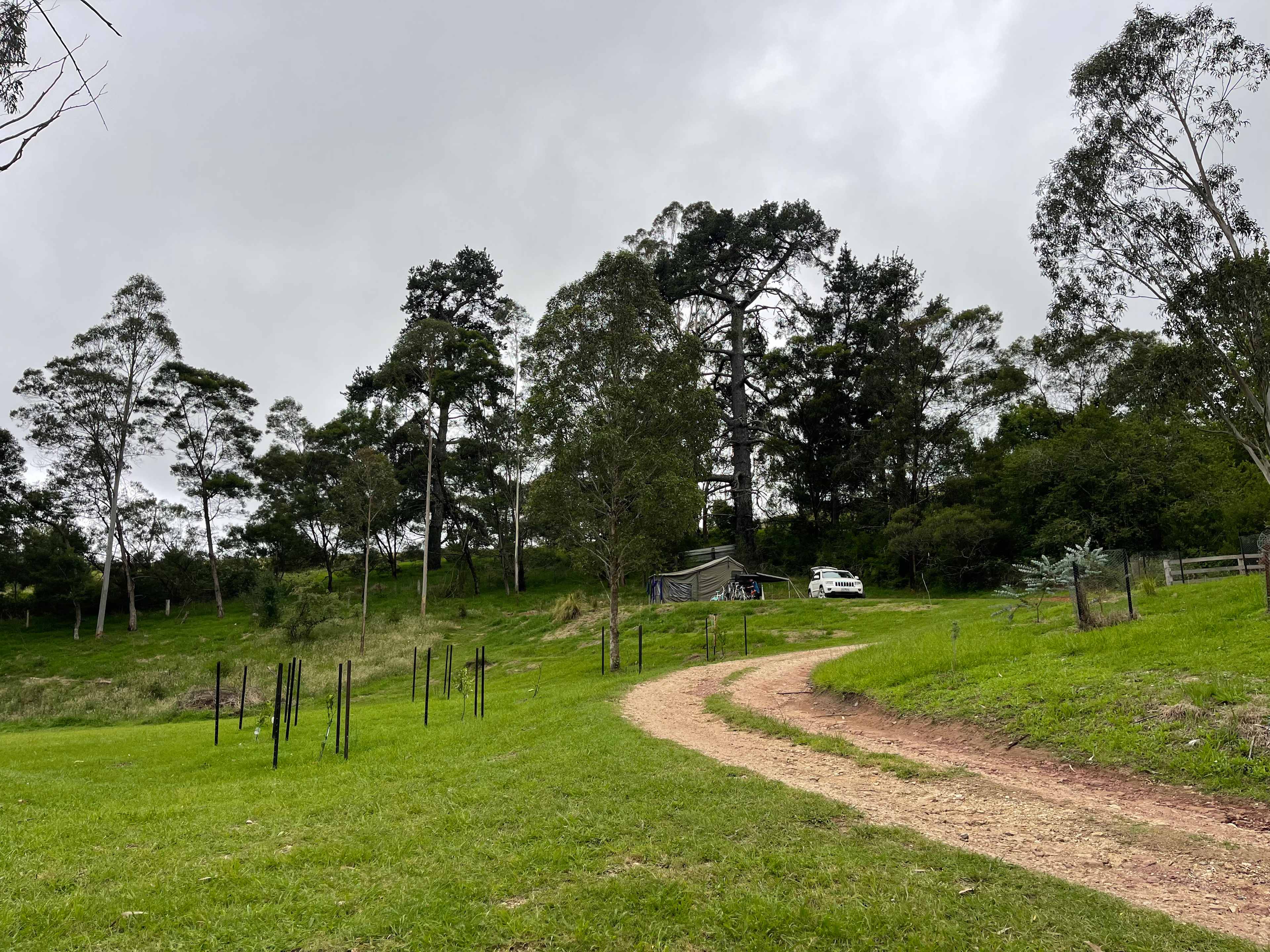 Picture of the site