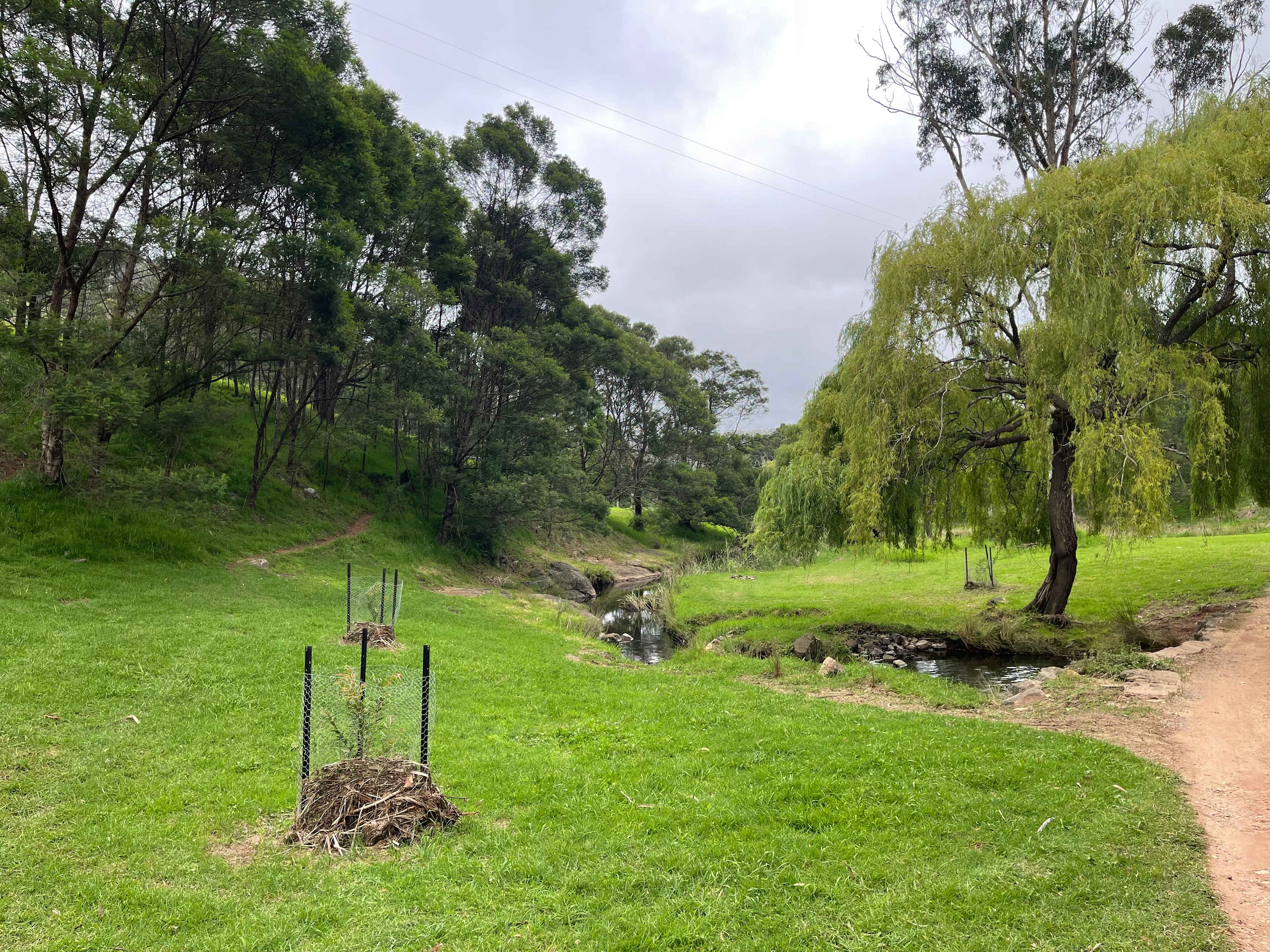Picture of the site