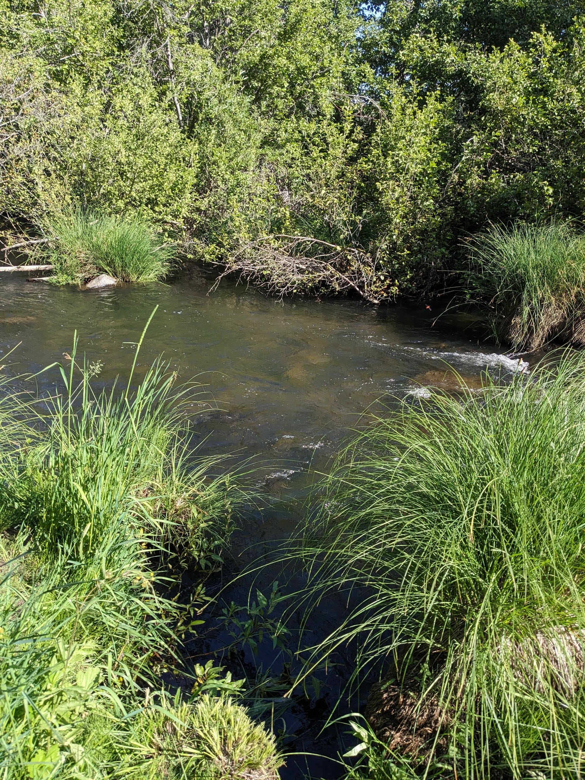 The Retreat on Big Grizzly Creek