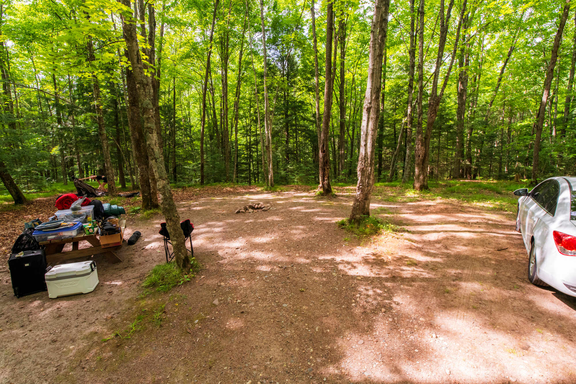 Picture of the site