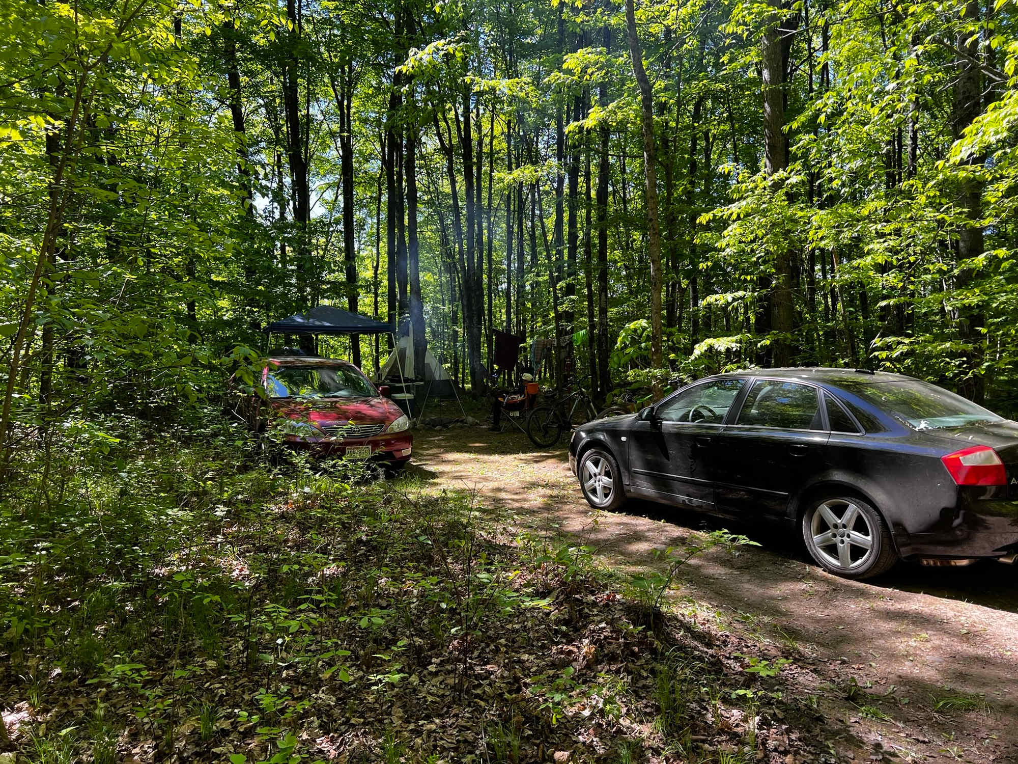 Picture of the site