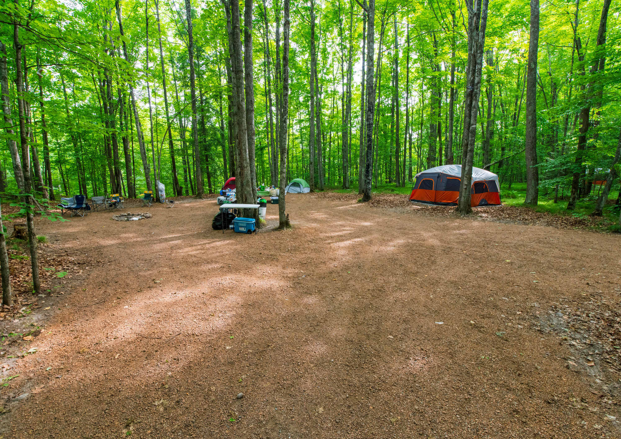 Picture of the site