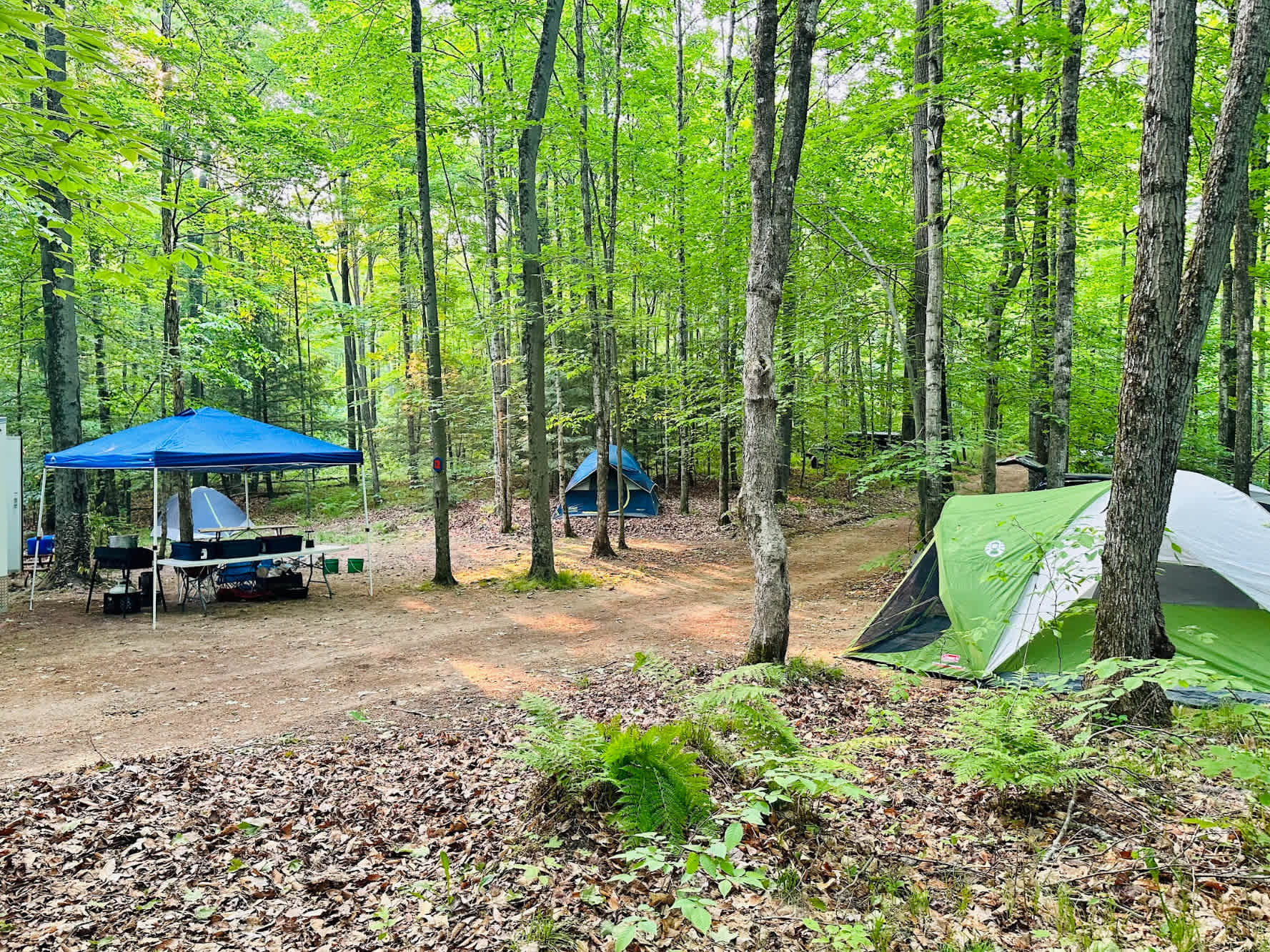 Picture of the site