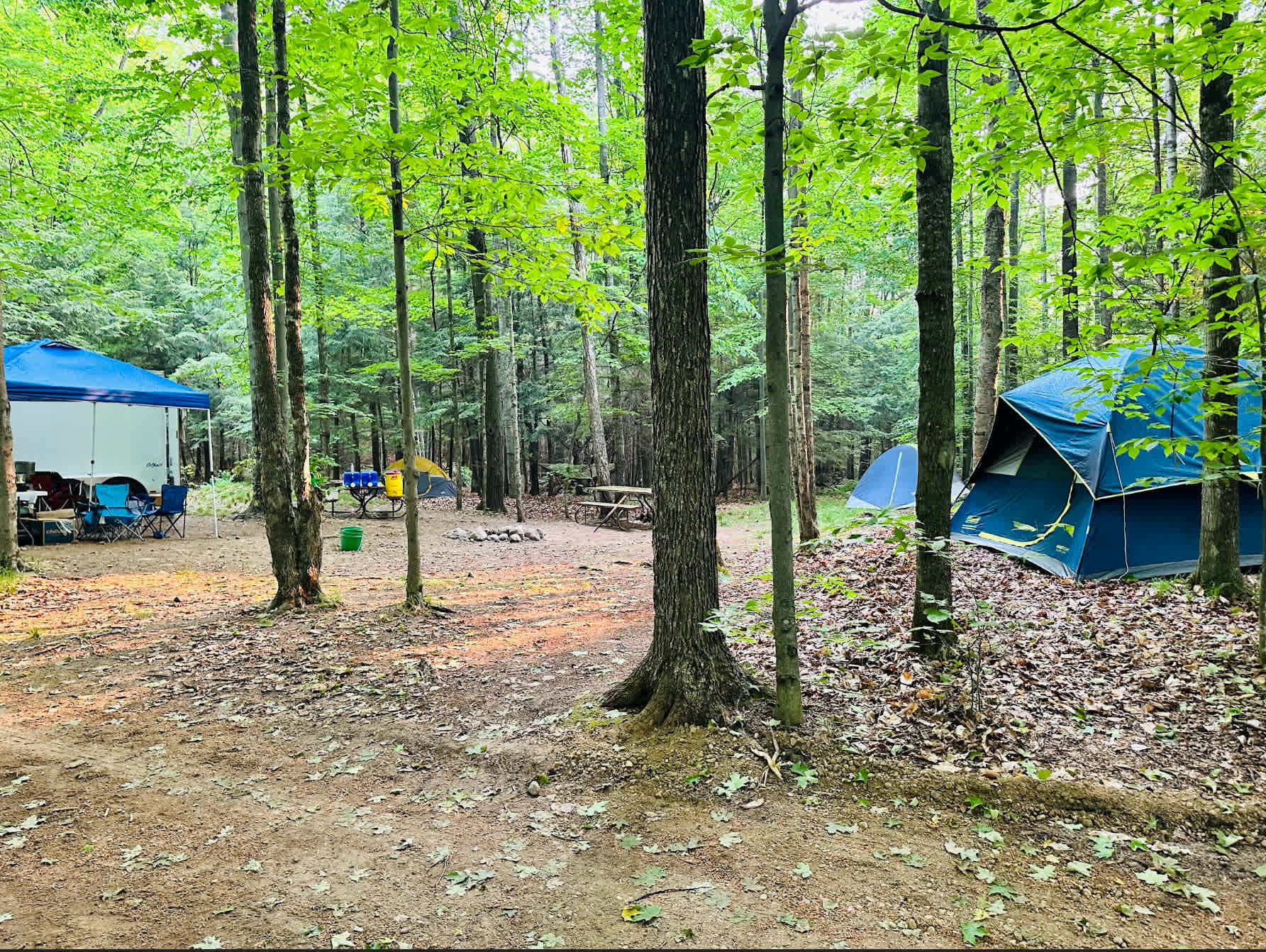 Picture of the site