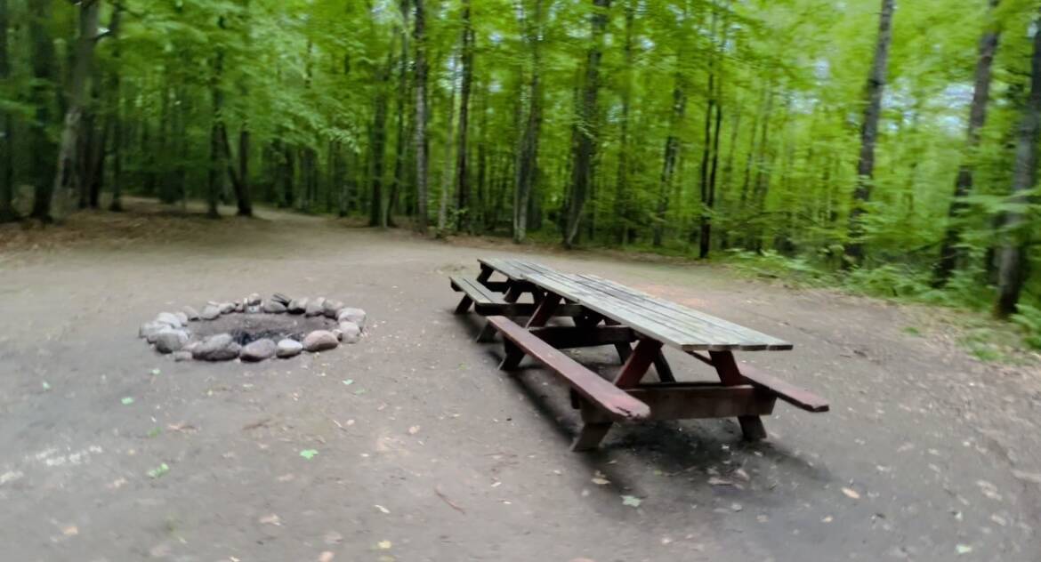 Picture of the site