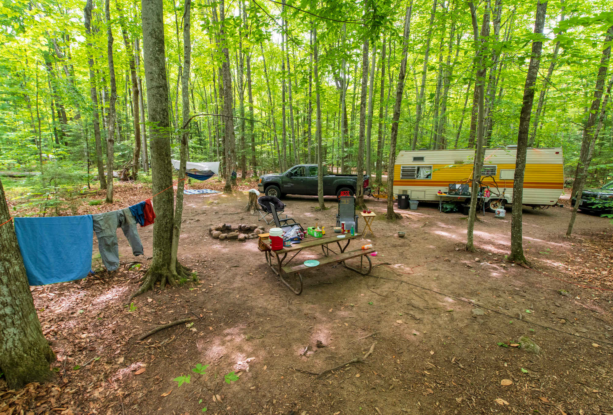 Picture of the site