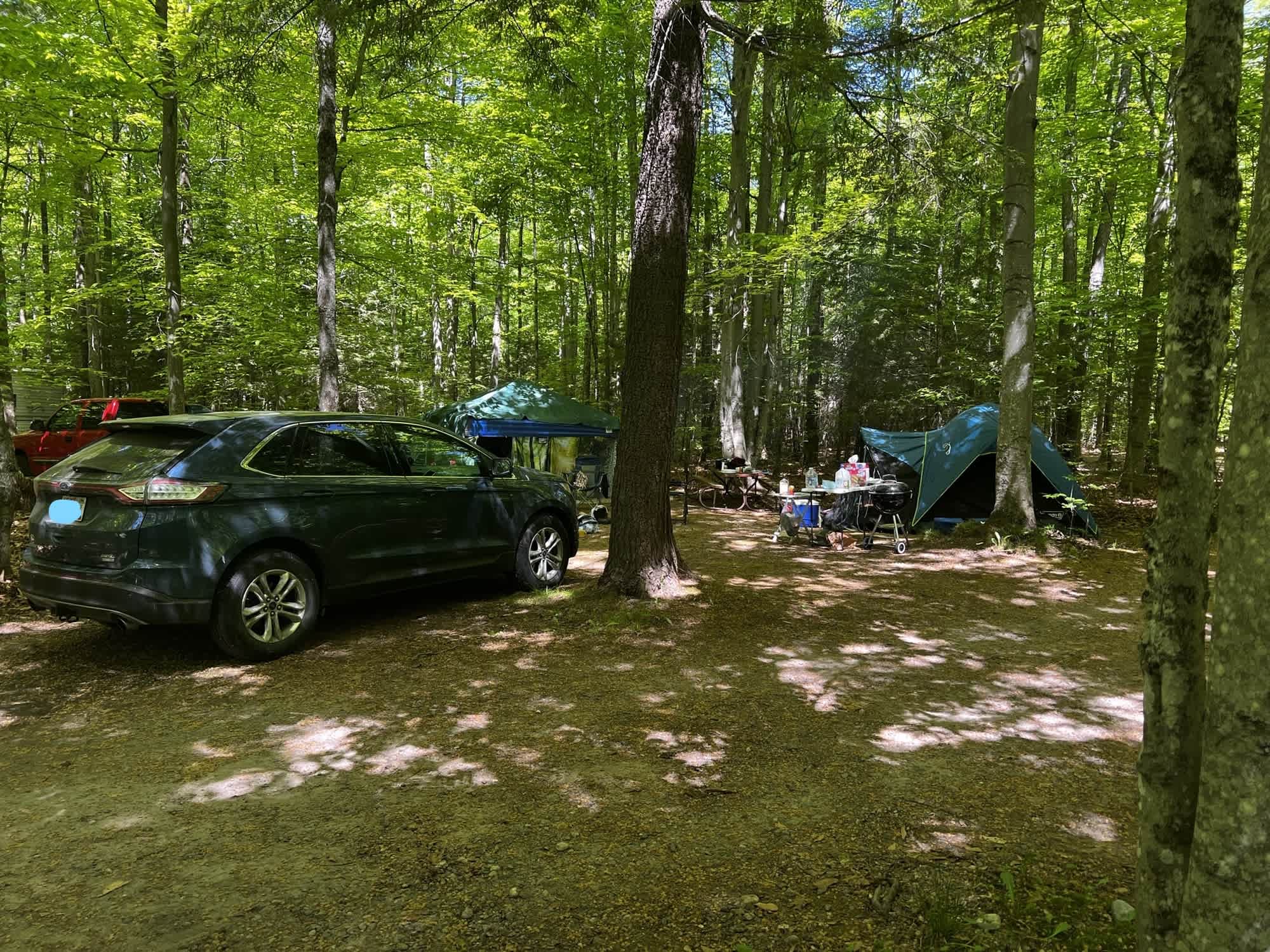 Picture of the site