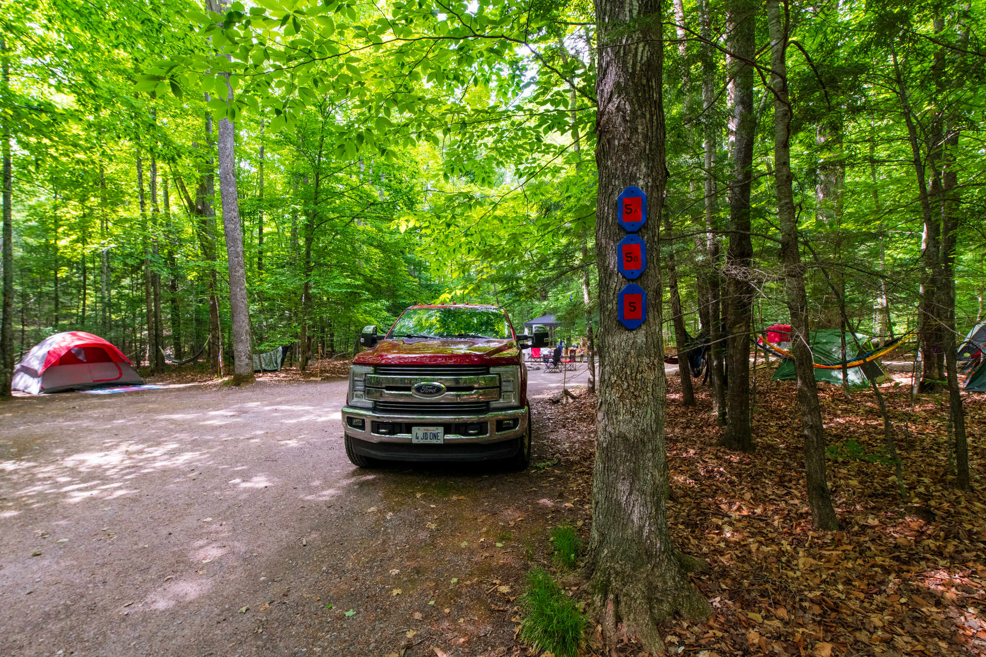 Picture of the site