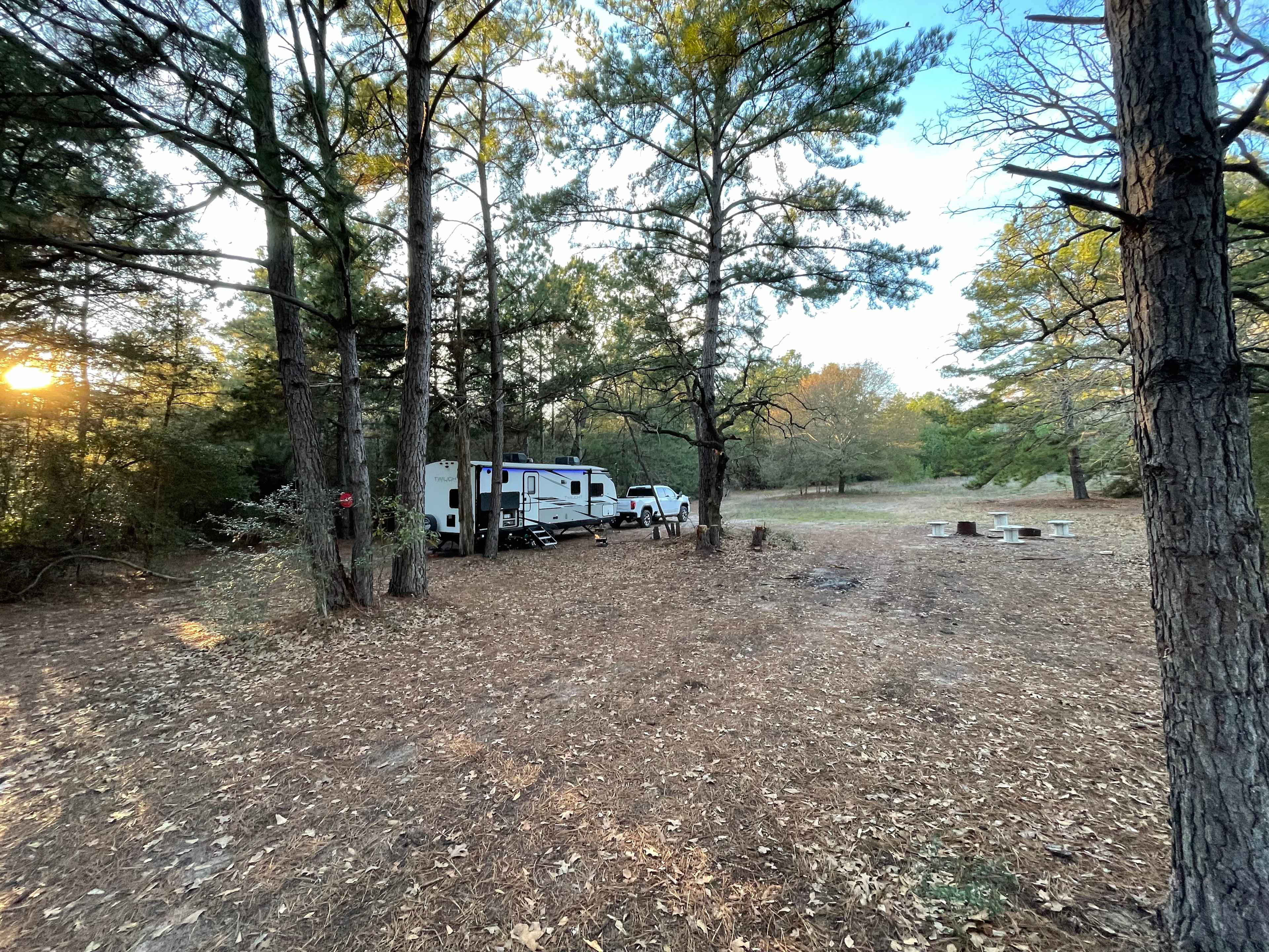 Picture of the site