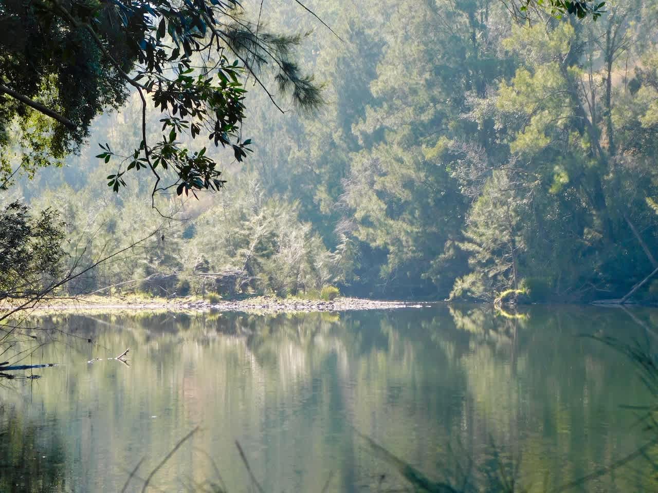 Riverside Privacy - 200 acres 4 you