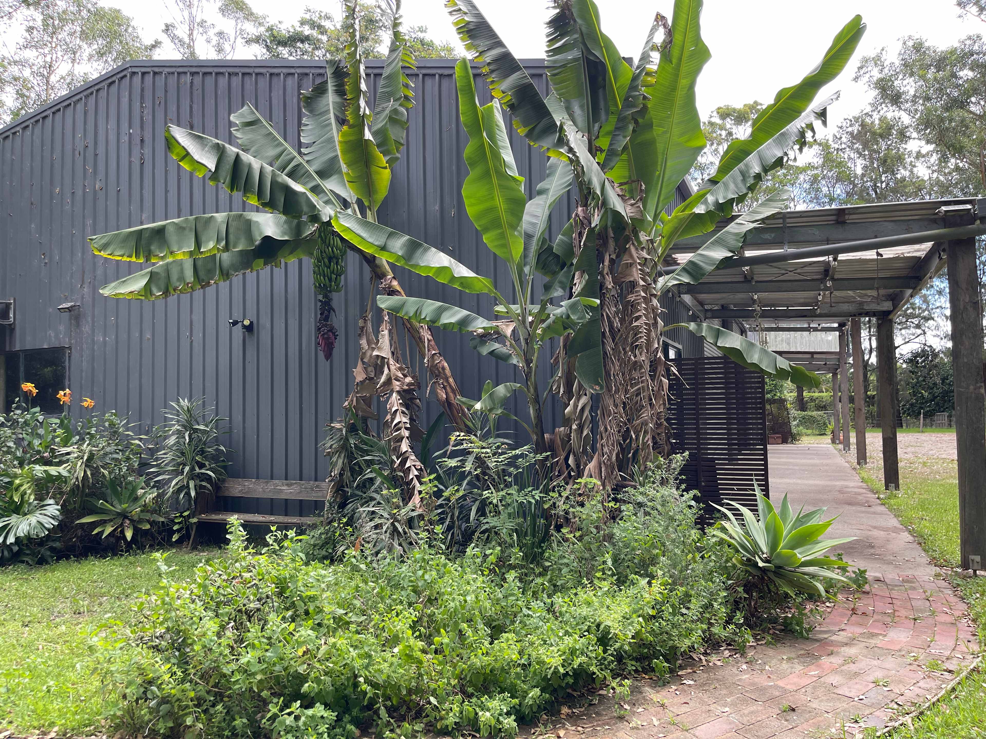 Secrets of Terara