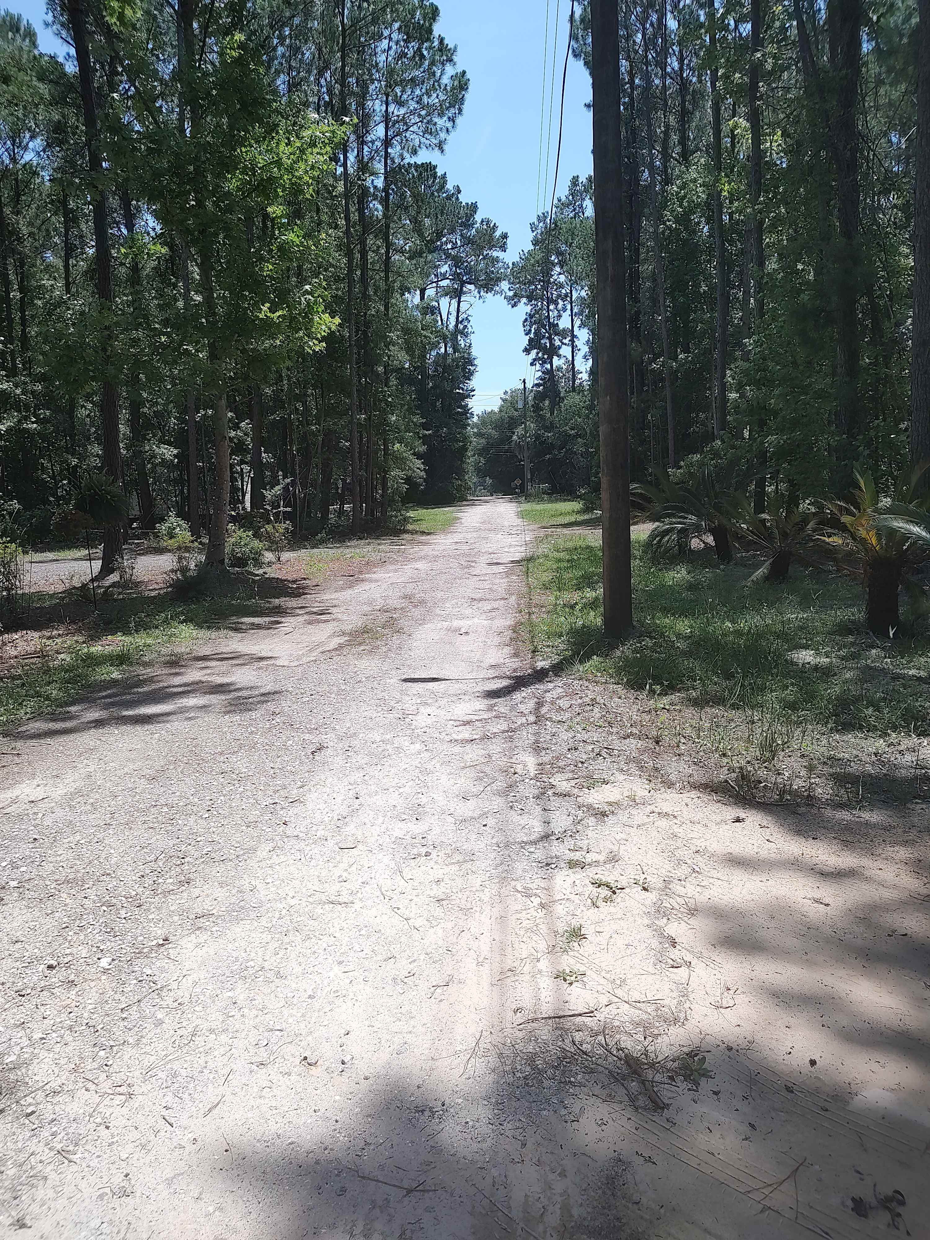 Sea Island Serenity Trails