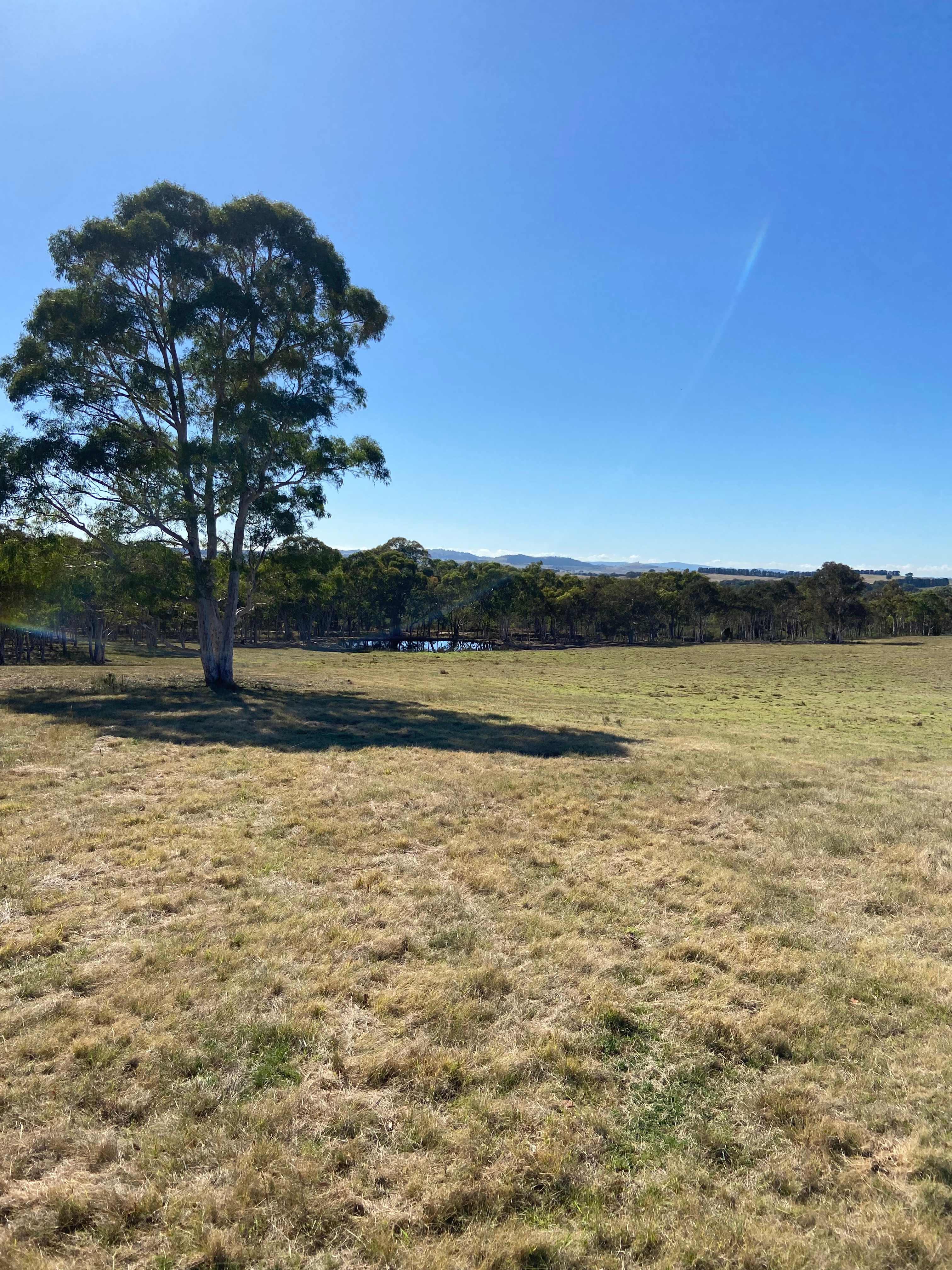 Camping paddock with dam